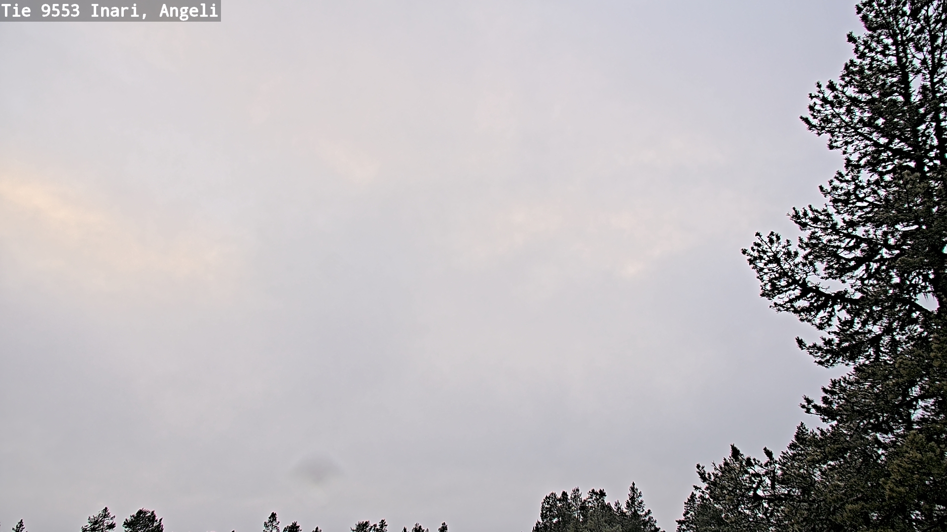 Kelikamerat Kuva Tie 9553 Inari, Angeli, Lintupuolivaara, Inari, Lappi