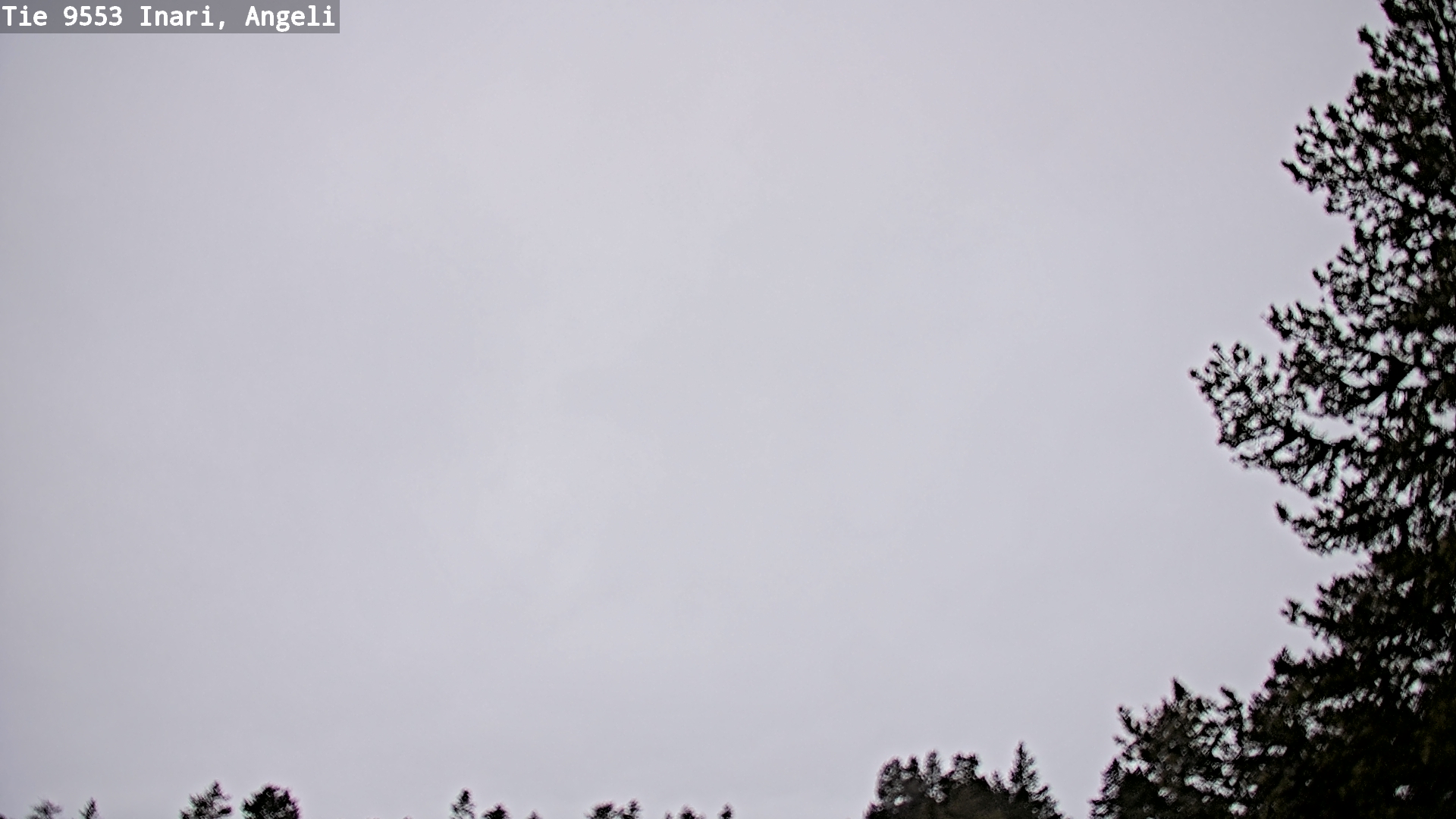 Kelikamerat Kuva Tie 9553 Inari, Angeli, Lintupuolivaara, Inari, Lappi