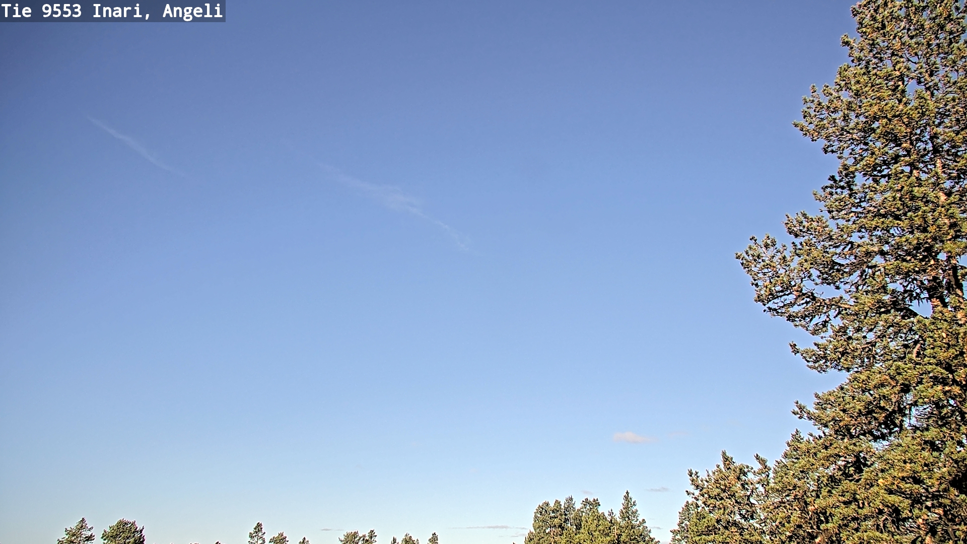 Weather Camera Image Road 9553 Inari, Angeli, Lintupuolivaara, Inari, Lappi