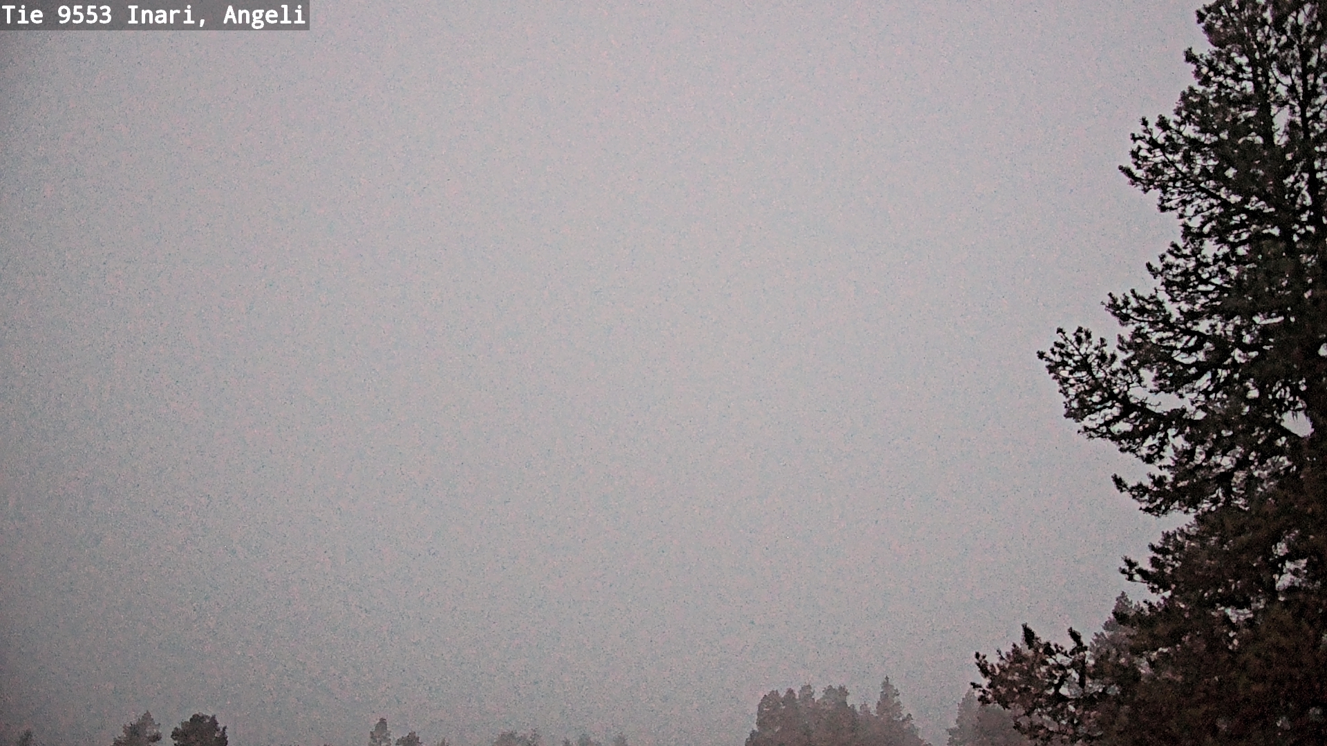 Kelikamerat Kuva Tie 9553 Inari, Angeli, Lintupuolivaara, Inari, Lappi