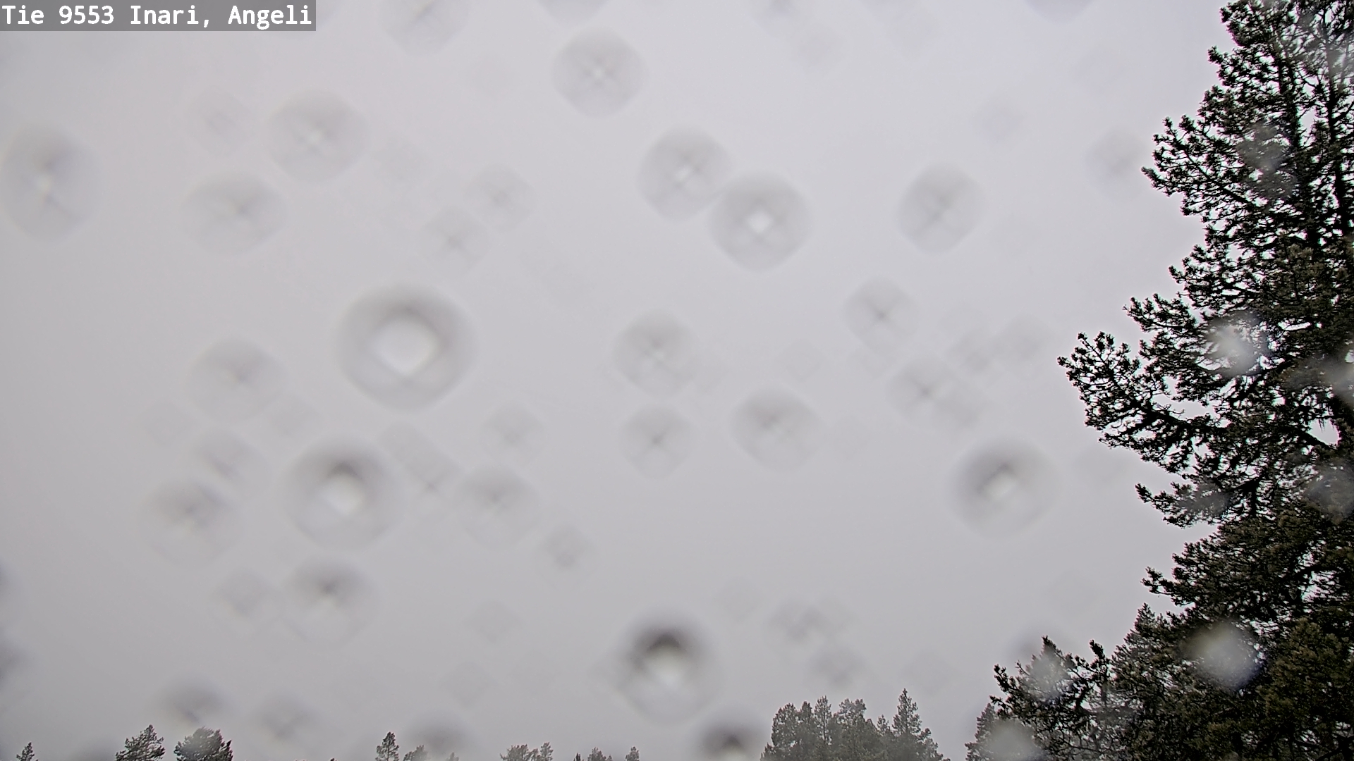 Kelikamerat Kuva Tie 9553 Inari, Angeli, Lintupuolivaara, Inari, Lappi