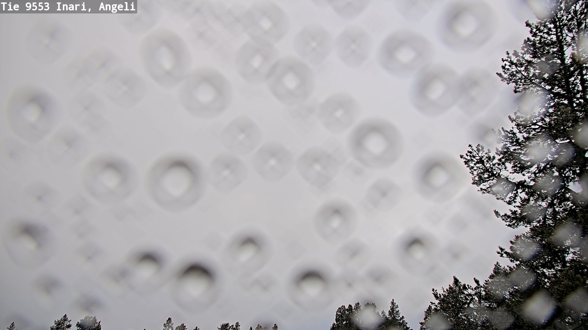 Kelikamerat Kuva Tie 9553 Inari, Angeli, Lintupuolivaara, Inari, Lappi