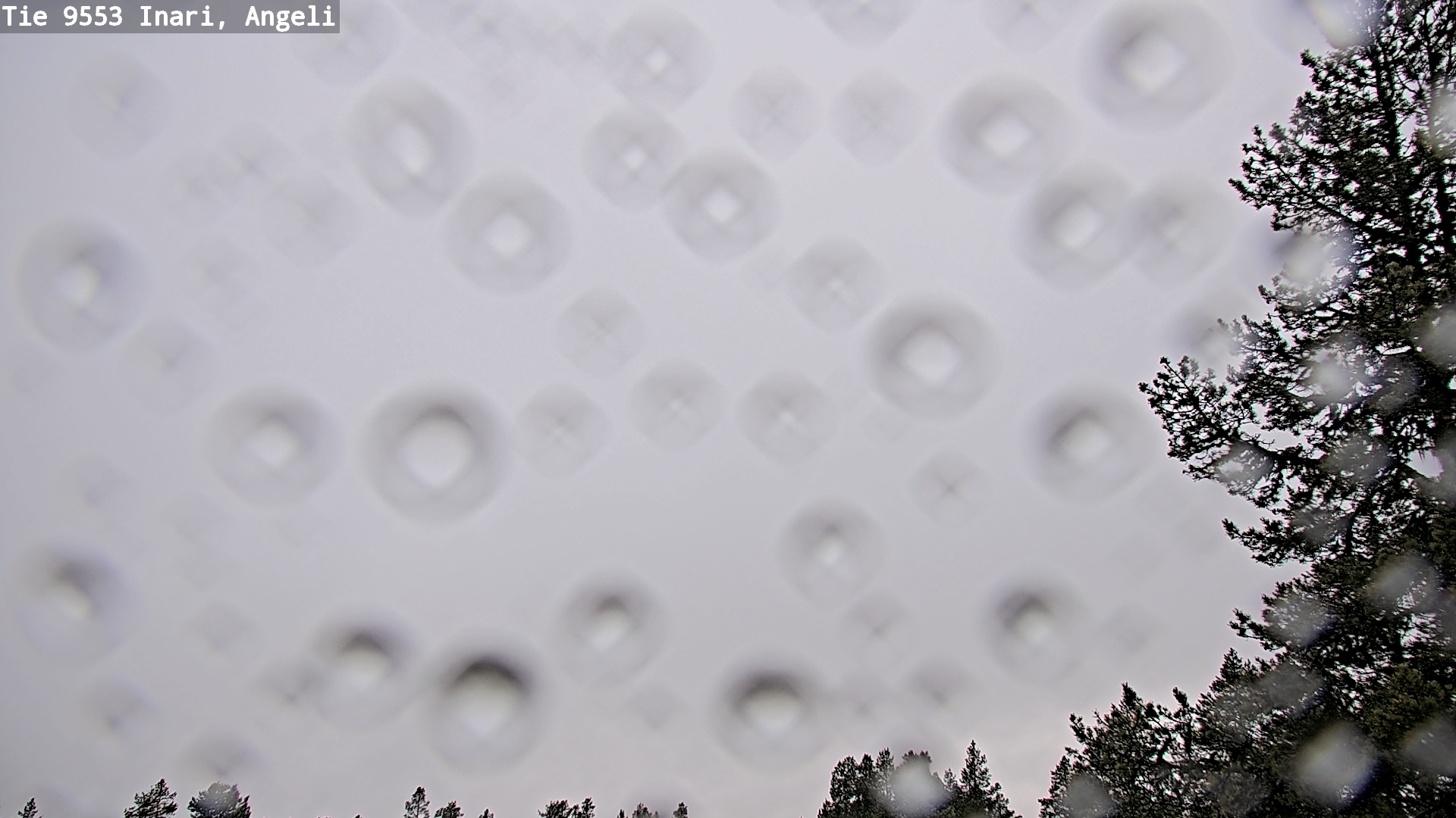 Kelikamerat Kuva Tie 9553 Inari, Angeli, Lintupuolivaara, Inari, Lappi