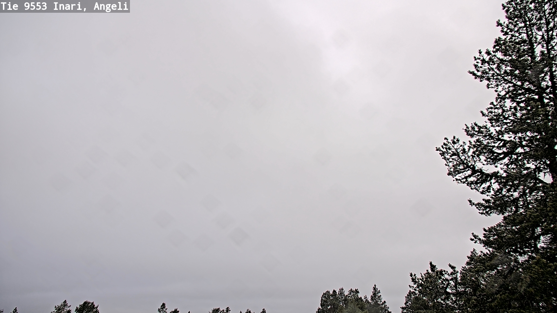 Weather Camera Image Road 9553 Inari, Angeli, Lintupuolivaara, Inari, Lappi