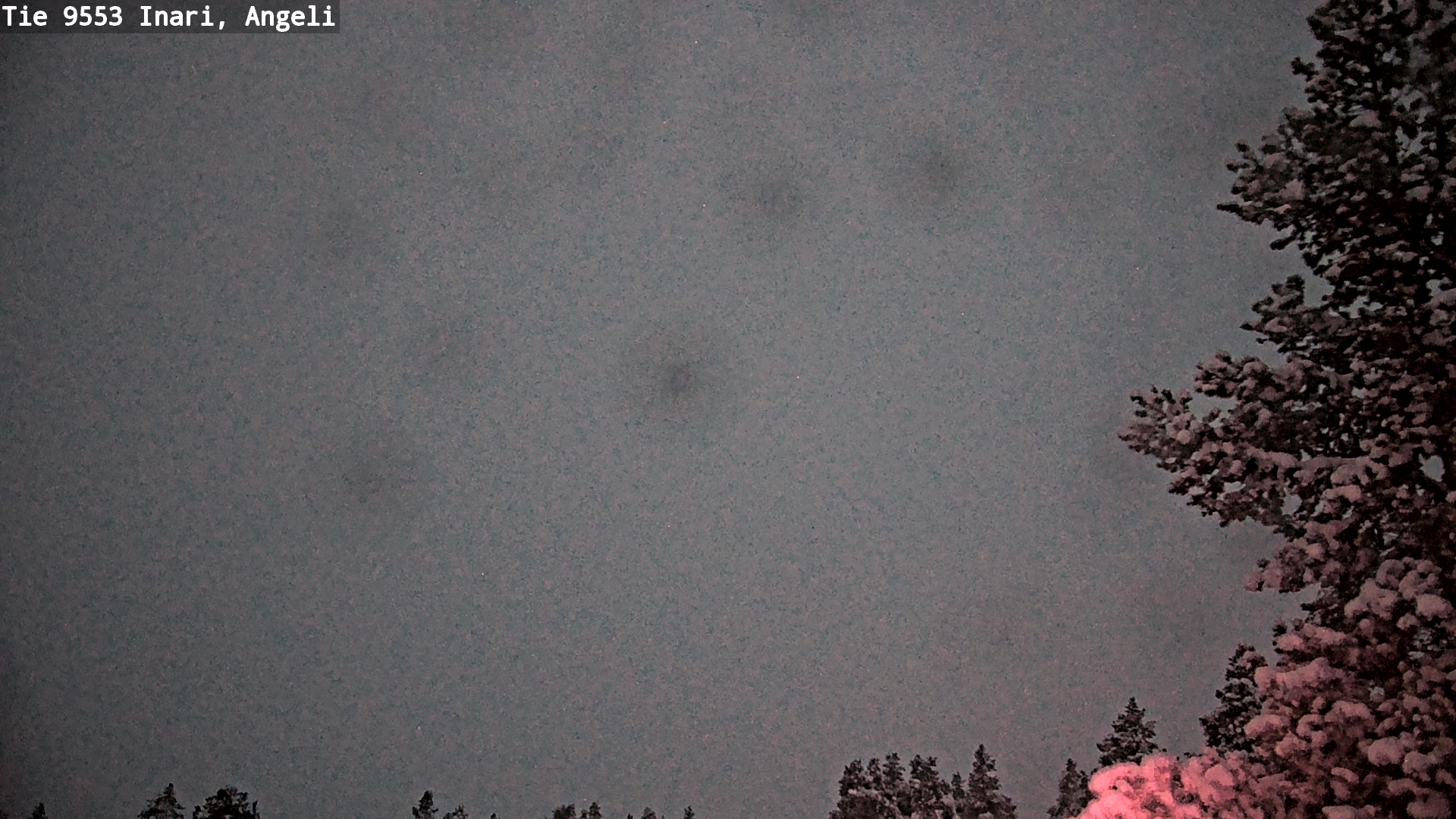 Weather Camera Image Road 9553 Inari, Angeli, Lintupuolivaara, Inari, Lappi