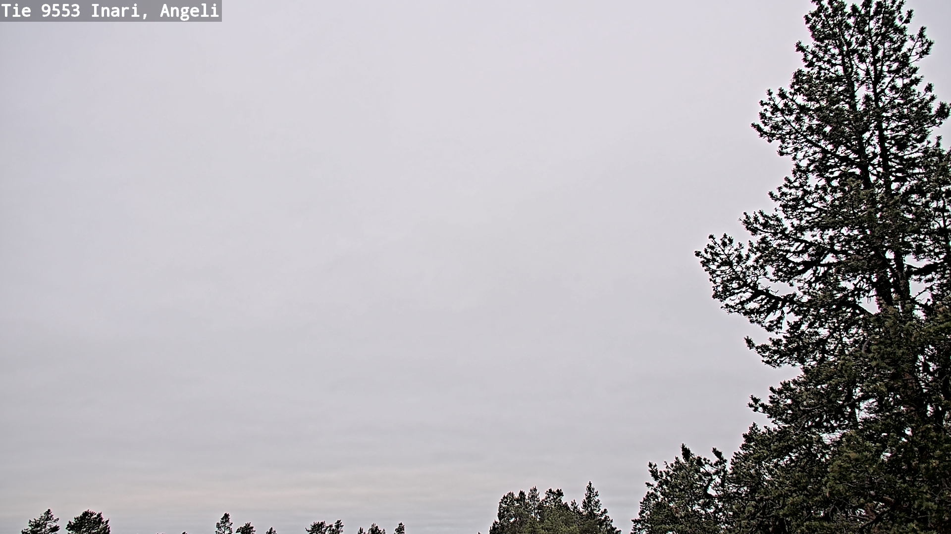 Kelikamerat Kuva Tie 9553 Inari, Angeli, Lintupuolivaara, Inari, Lappi