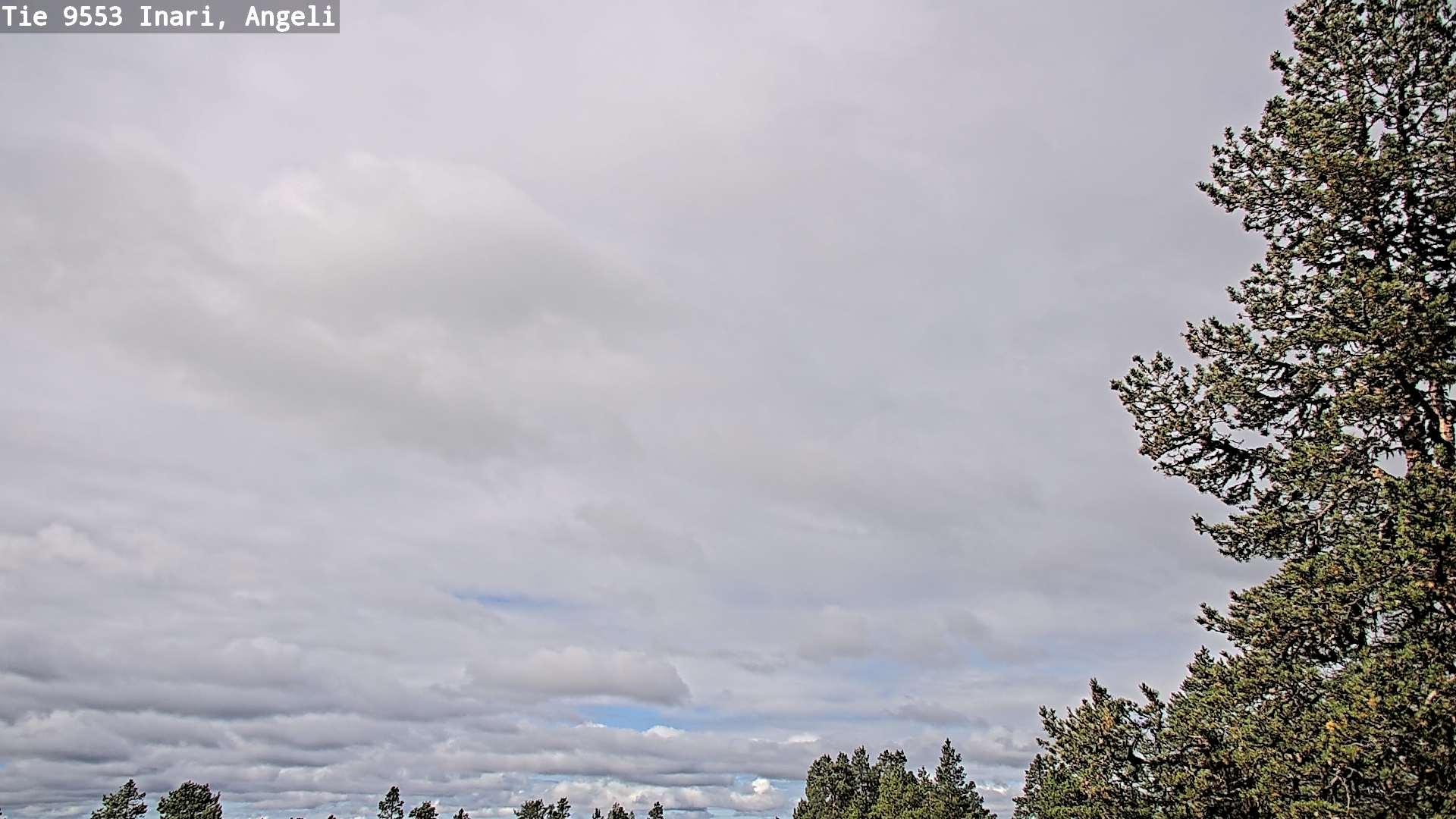 Weather Camera Image Road 9553 Inari, Angeli, Lintupuolivaara, Inari, Lappi