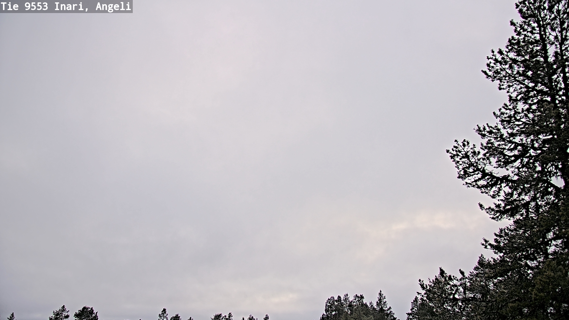 Kelikamerat Kuva Tie 9553 Inari, Angeli, Lintupuolivaara, Inari, Lappi