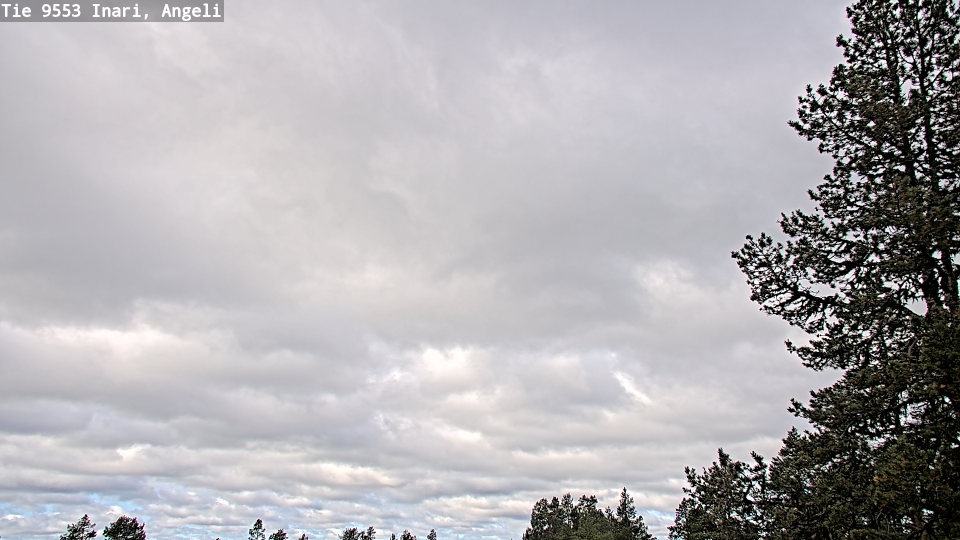 Weather Camera Image Road 9553 Inari, Angeli, Lintupuolivaara, Inari, Lappi