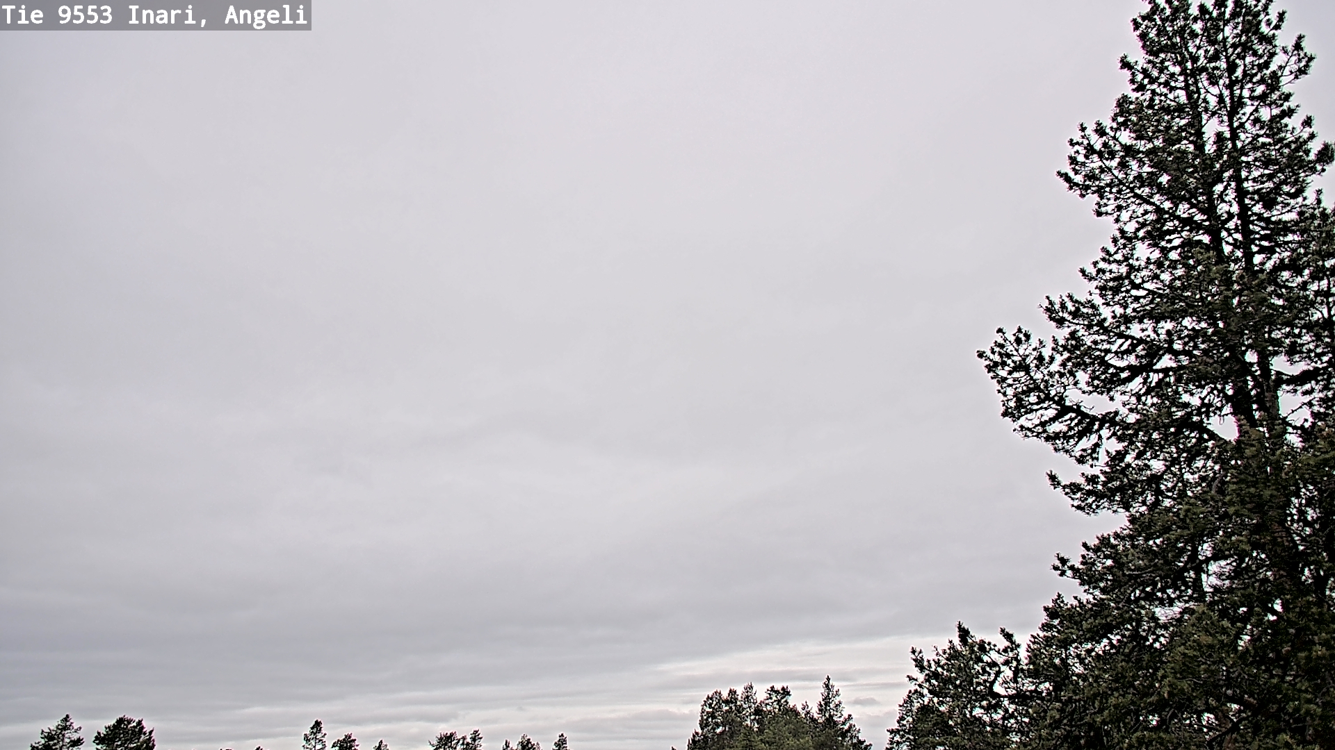 Weather Camera Image Väg 9553 Inari, Angeli, Lintupuolivaara, Inari, Lappi