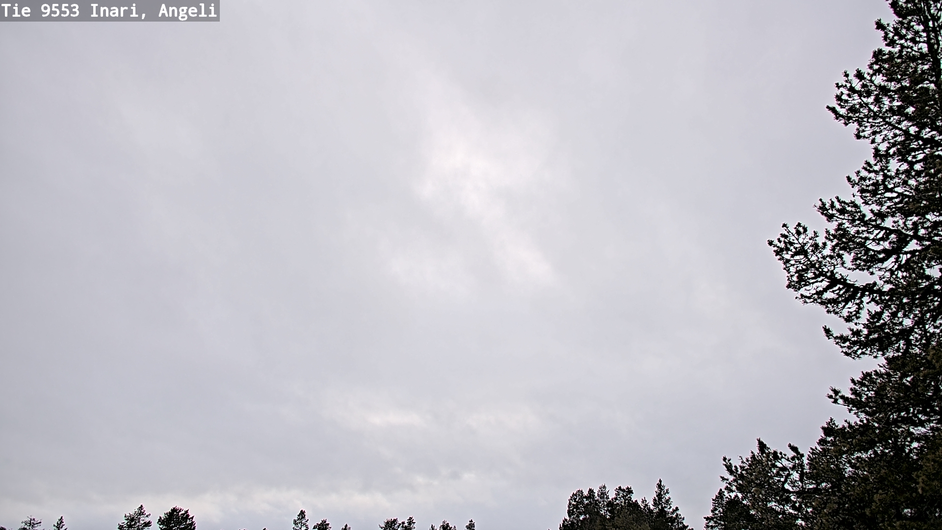 Weather Camera Image Väg 9553 Inari, Angeli, Lintupuolivaara, Inari, Lappi