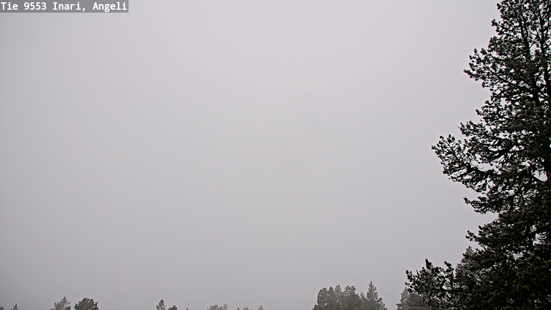 Weather Camera Image Road 9553 Inari, Angeli, Lintupuolivaara, Inari, Lappi