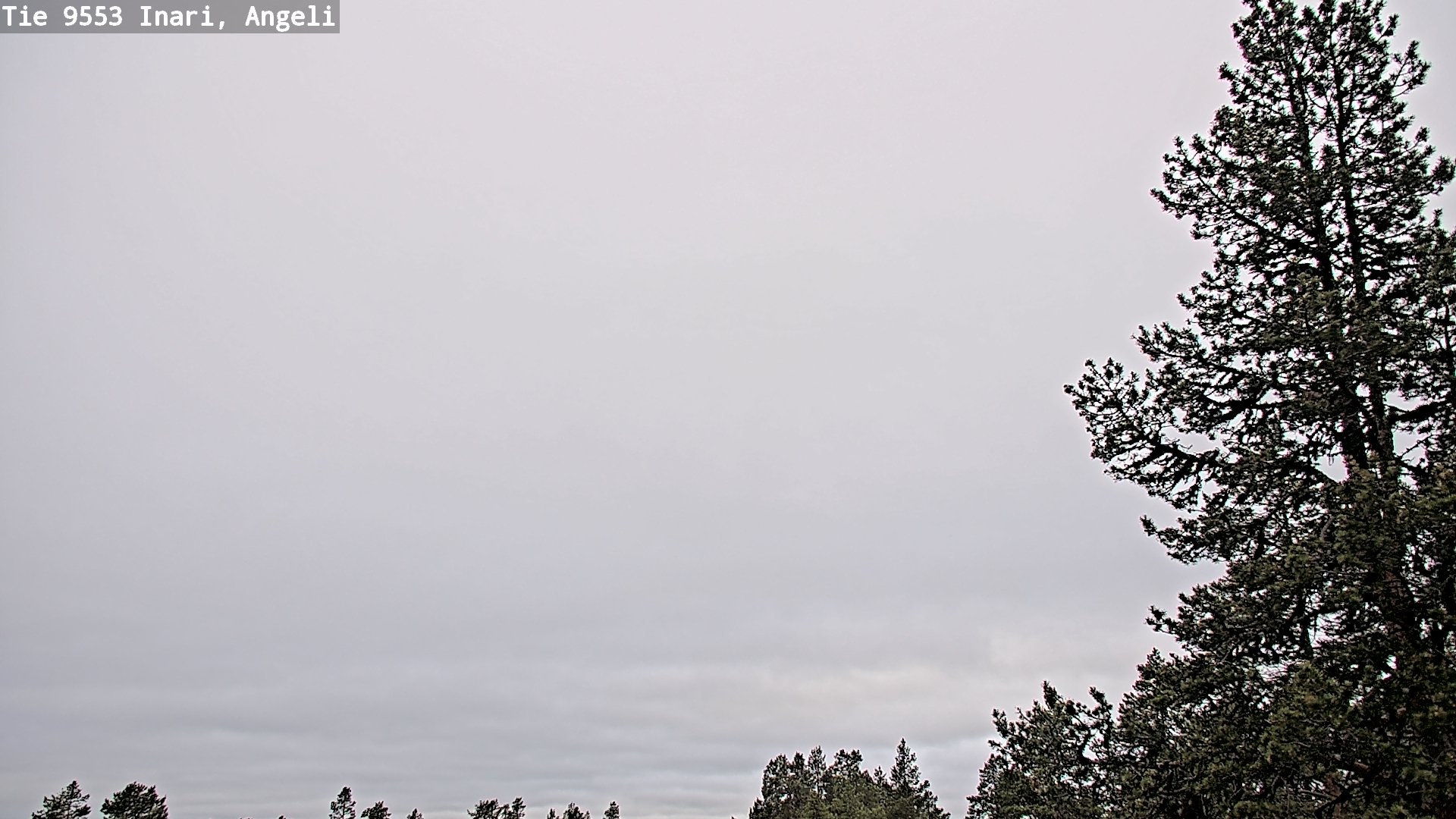 Kelikamerat Kuva Tie 9553 Inari, Angeli, Lintupuolivaara, Inari, Lappi