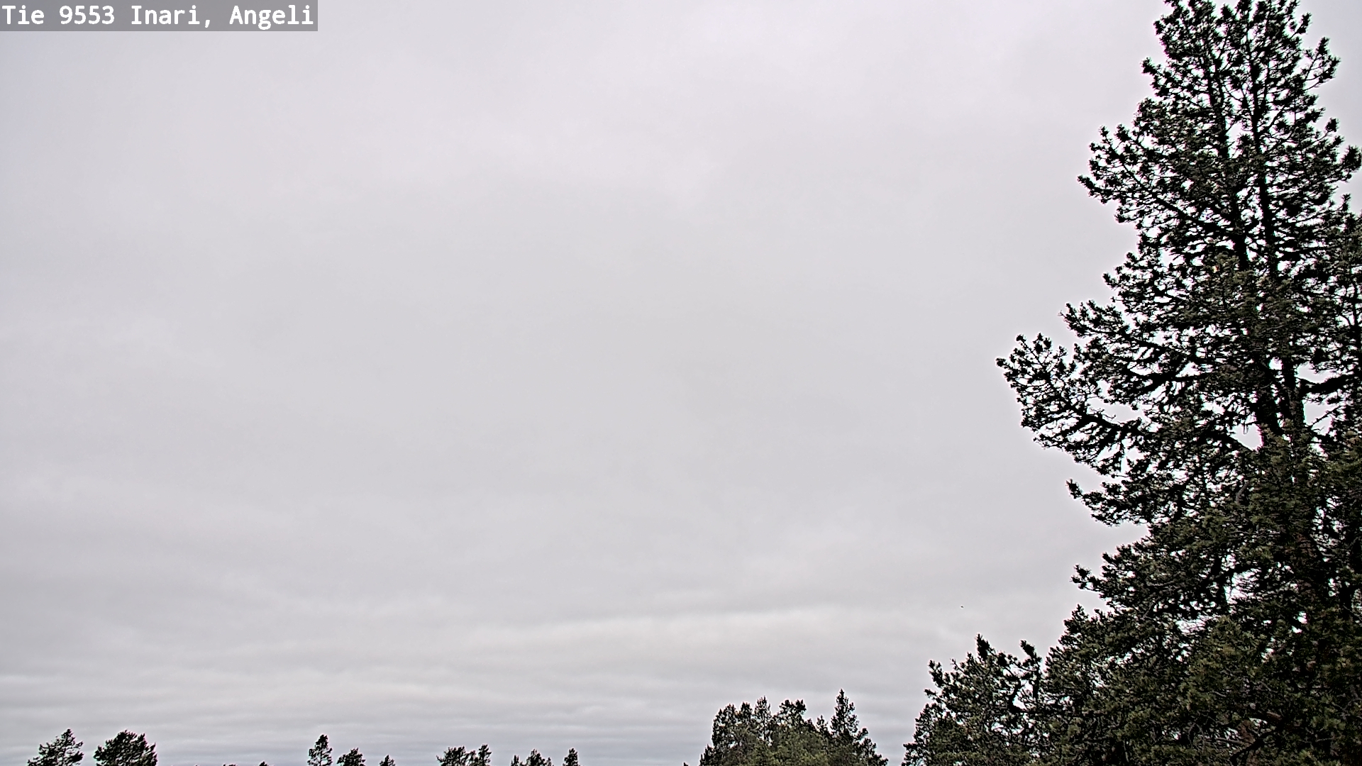 Weather Camera Image Väg 9553 Inari, Angeli, Lintupuolivaara, Inari, Lappi