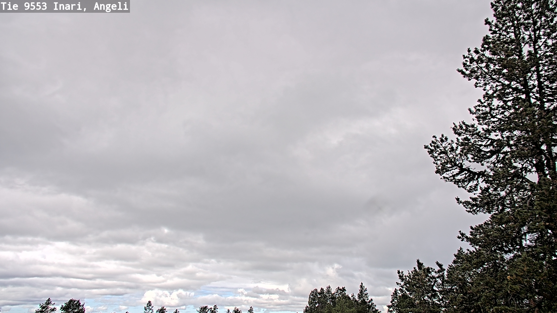 Weather Camera Image Road 9553 Inari, Angeli, Lintupuolivaara, Inari, Lappi