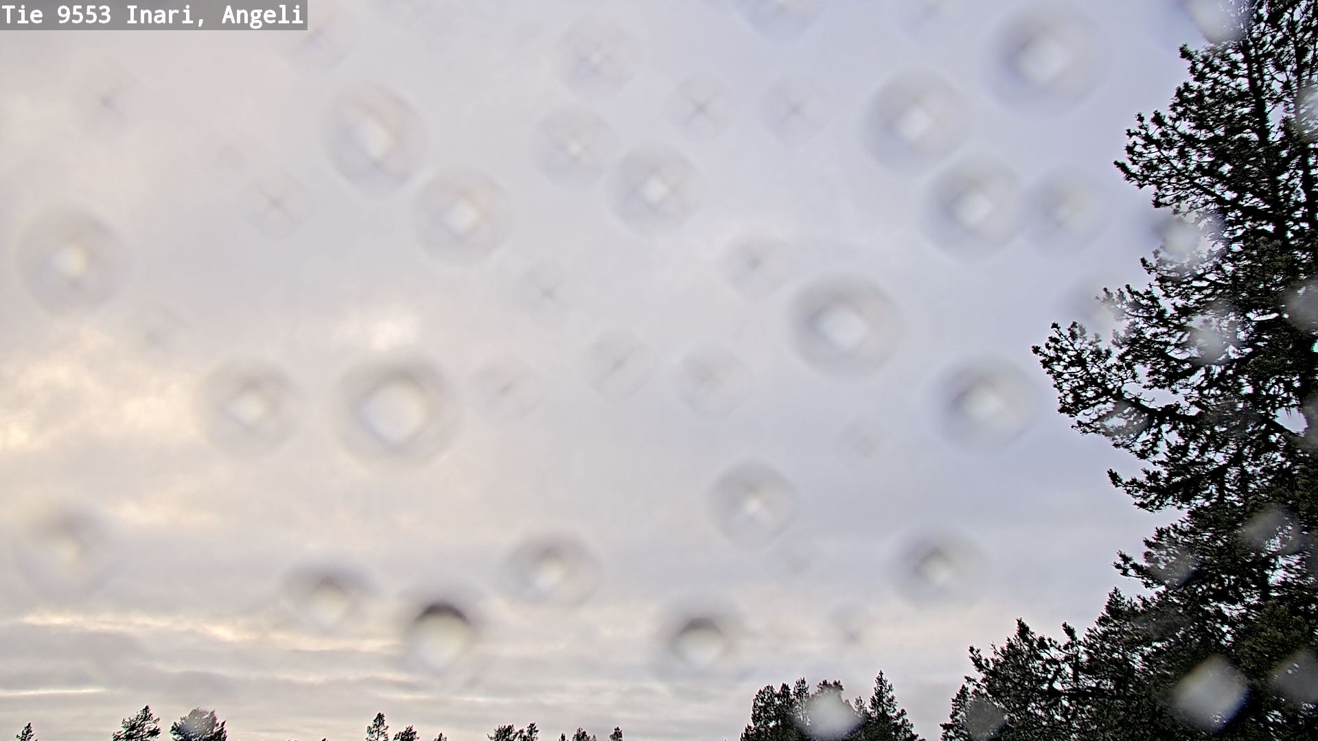 Kelikamerat Kuva Tie 9553 Inari, Angeli, Lintupuolivaara, Inari, Lappi