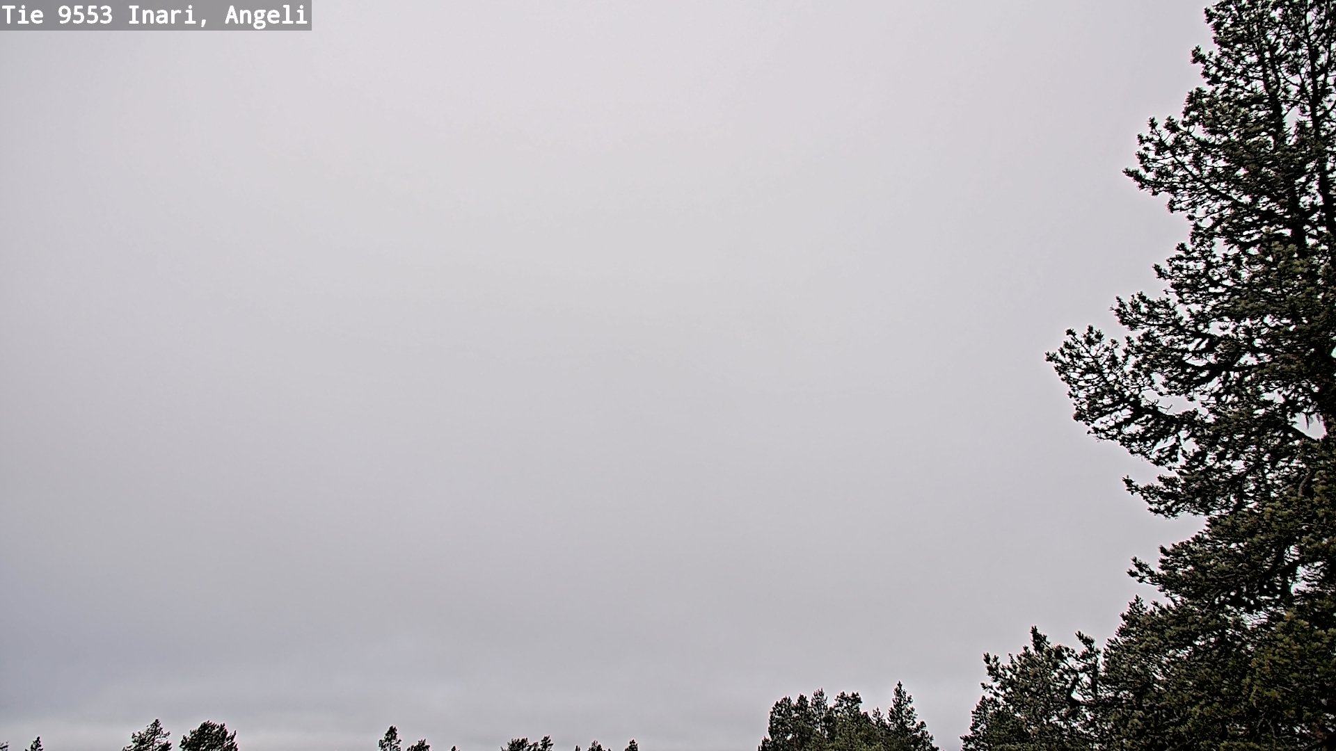 Weather Camera Image Road 9553 Inari, Angeli, Lintupuolivaara, Inari, Lappi