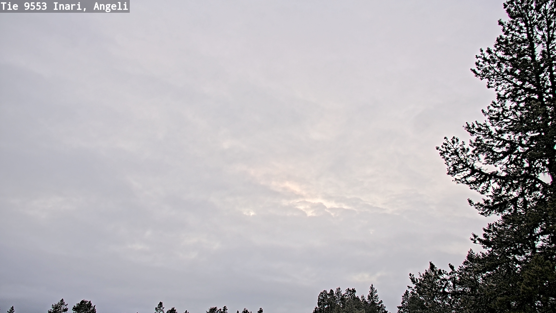 Kelikamerat Kuva Tie 9553 Inari, Angeli, Lintupuolivaara, Inari, Lappi