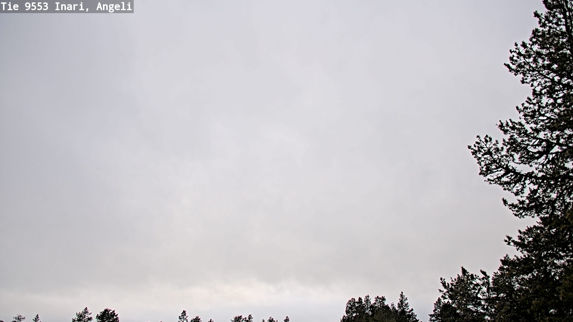 Weather Camera Image Road 9553 Inari, Angeli, Lintupuolivaara, Inari, Lappi