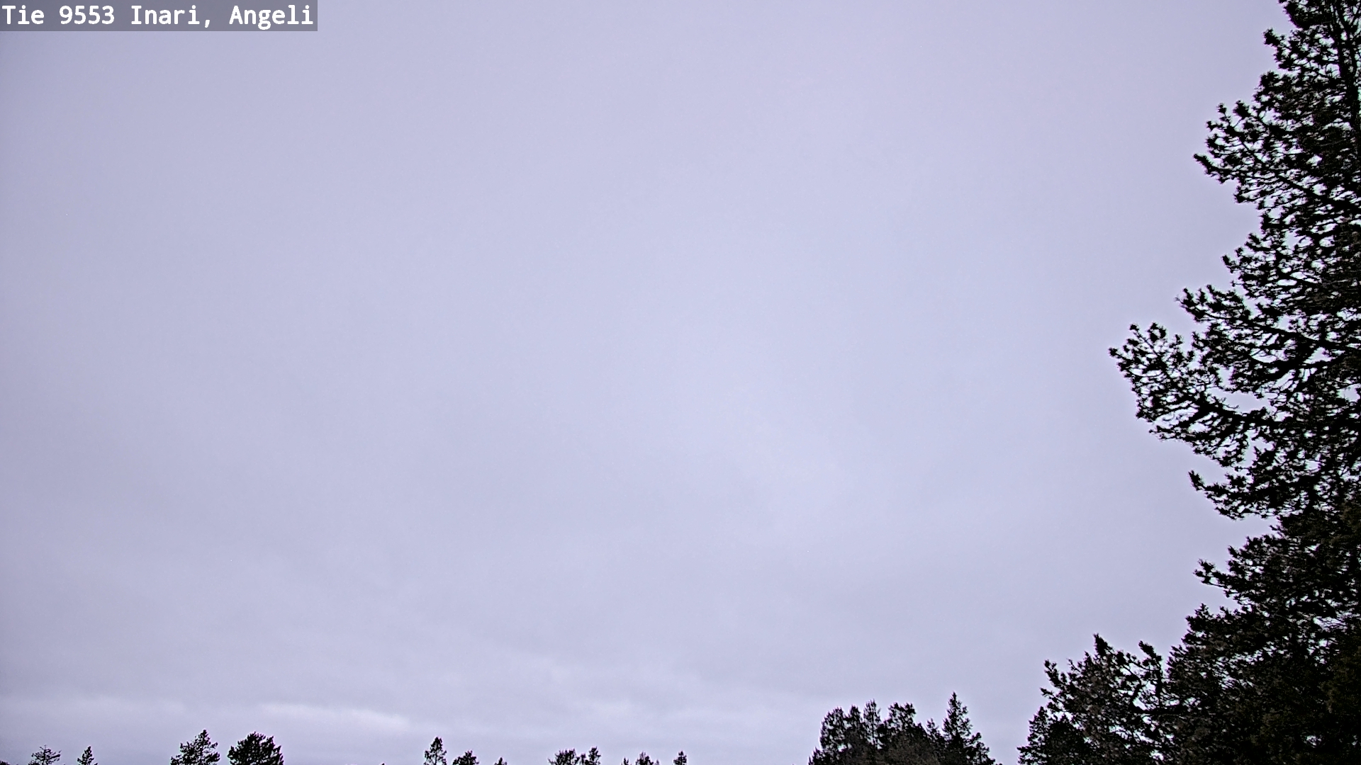 Weather Camera Image Road 9553 Inari, Angeli, Lintupuolivaara, Inari, Lappi