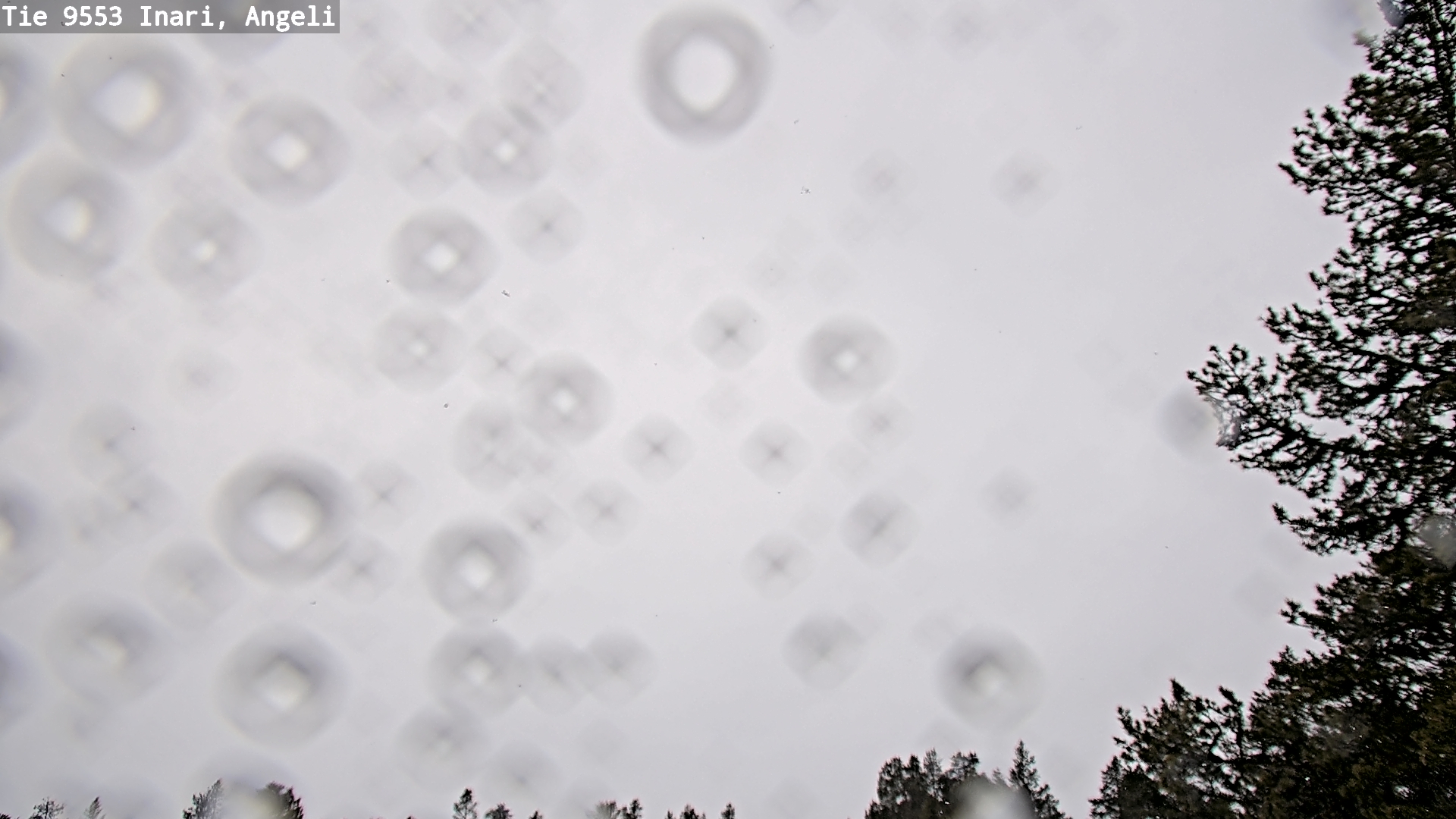 Kelikamerat Kuva Tie 9553 Inari, Angeli, Lintupuolivaara, Inari, Lappi