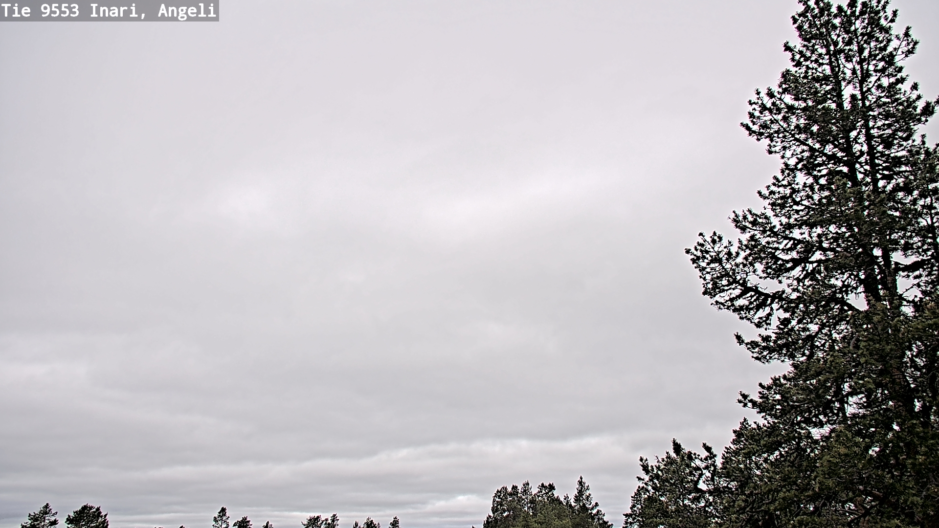 Weather Camera Image Väg 9553 Inari, Angeli, Lintupuolivaara, Inari, Lappi