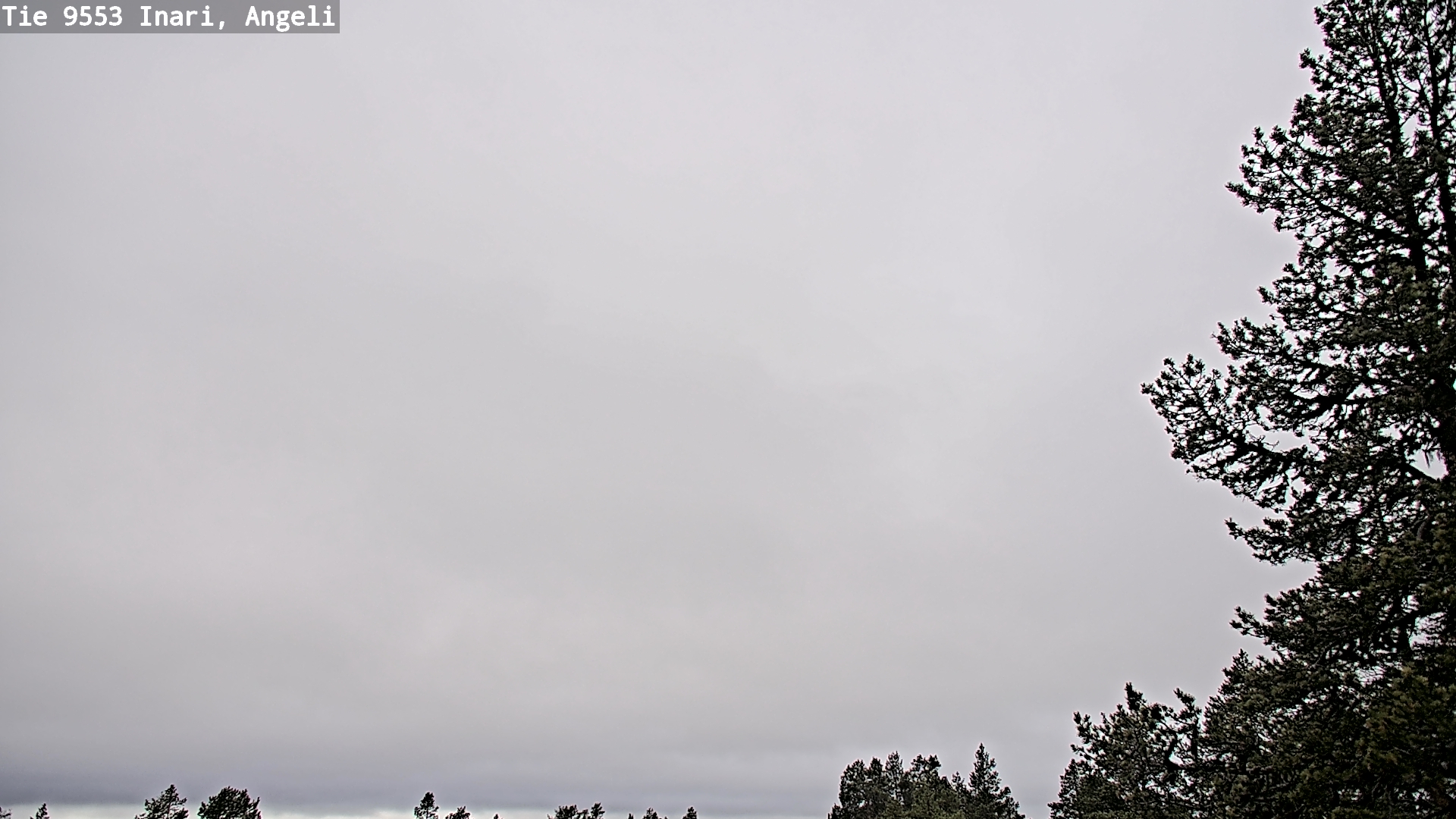 Weather Camera Image Road 9553 Inari, Angeli, Lintupuolivaara, Inari, Lappi