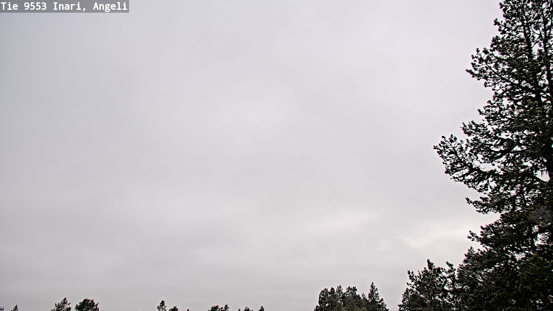 Weather Camera Image Road 9553 Inari, Angeli, Lintupuolivaara, Inari, Lappi