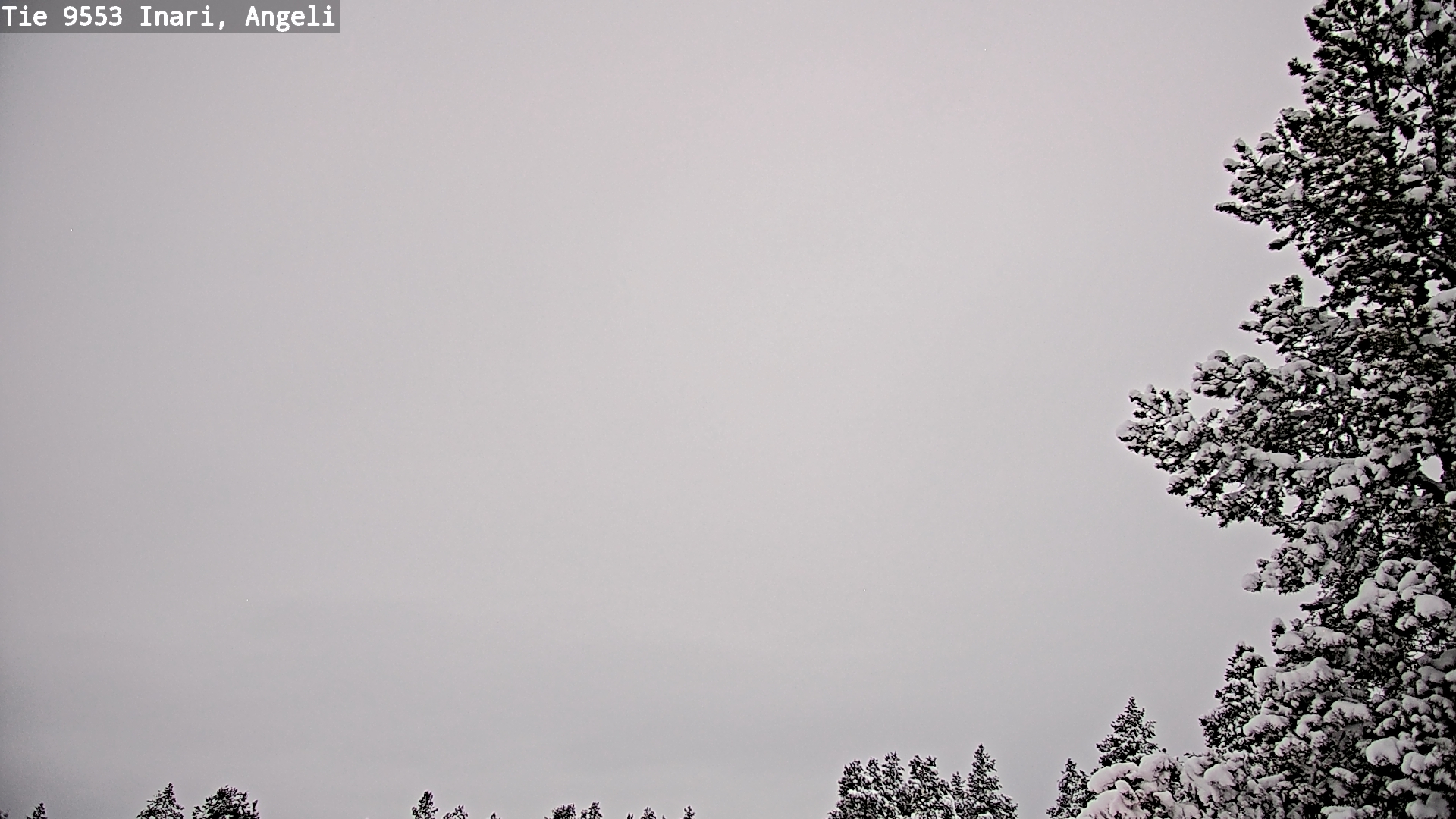 Weather Camera Image Väg 9553 Inari, Angeli, Lintupuolivaara, Inari, Lappi