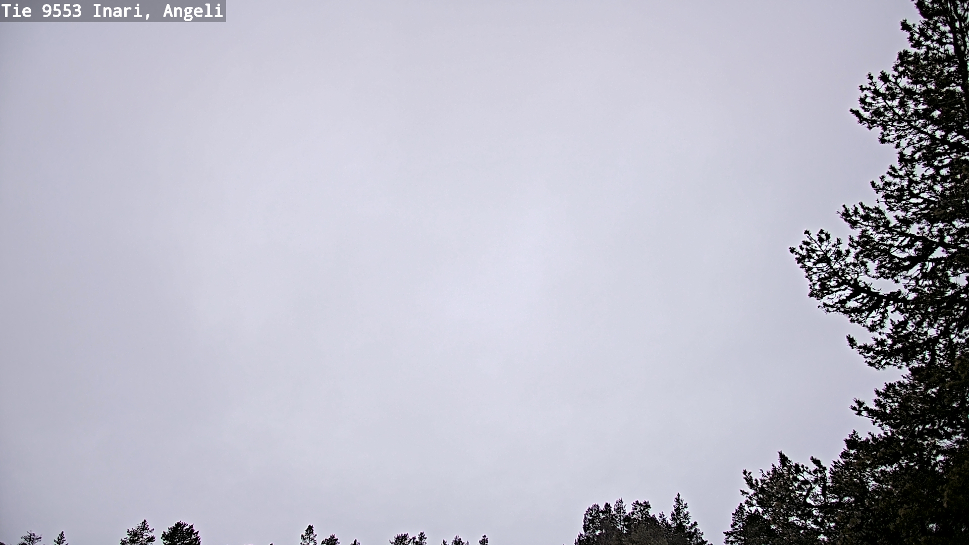 Kelikamerat Kuva Tie 9553 Inari, Angeli, Lintupuolivaara, Inari, Lappi