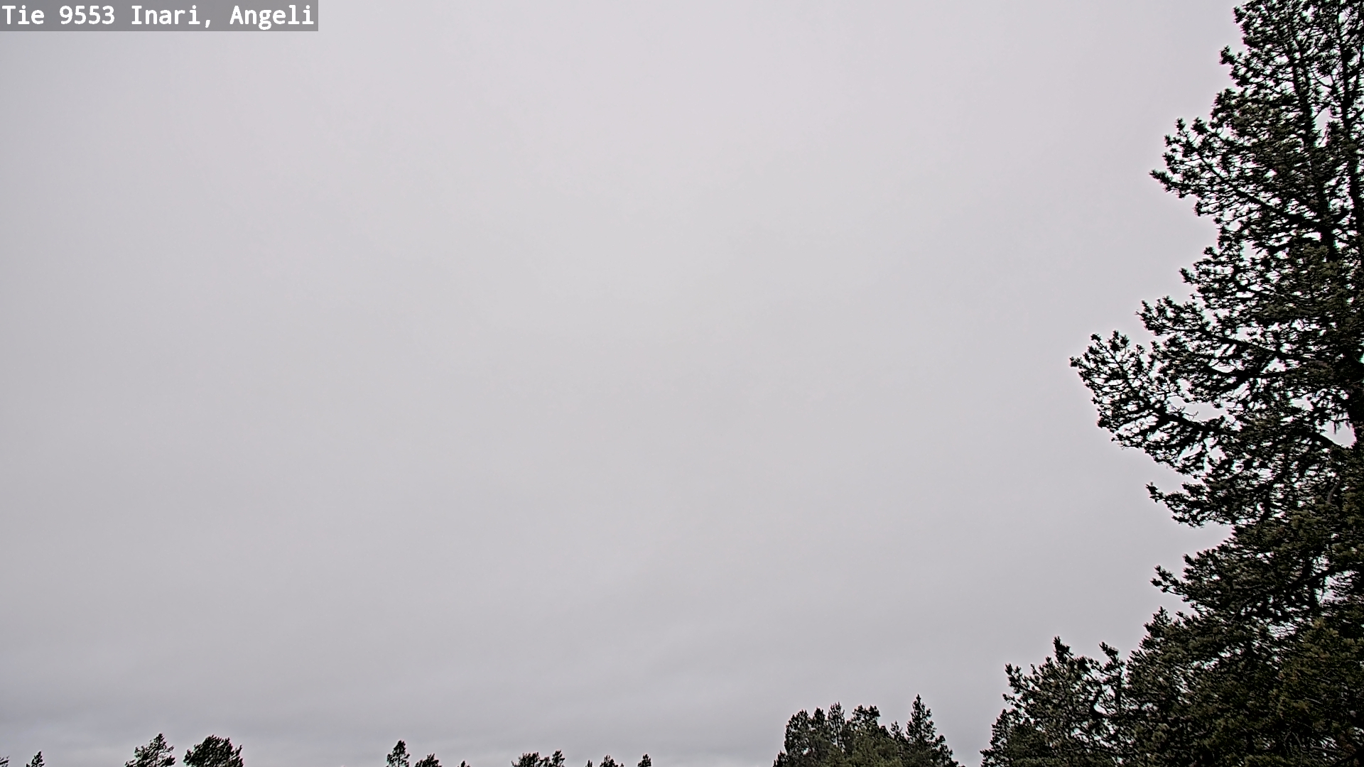 Kelikamerat Kuva Tie 9553 Inari, Angeli, Lintupuolivaara, Inari, Lappi