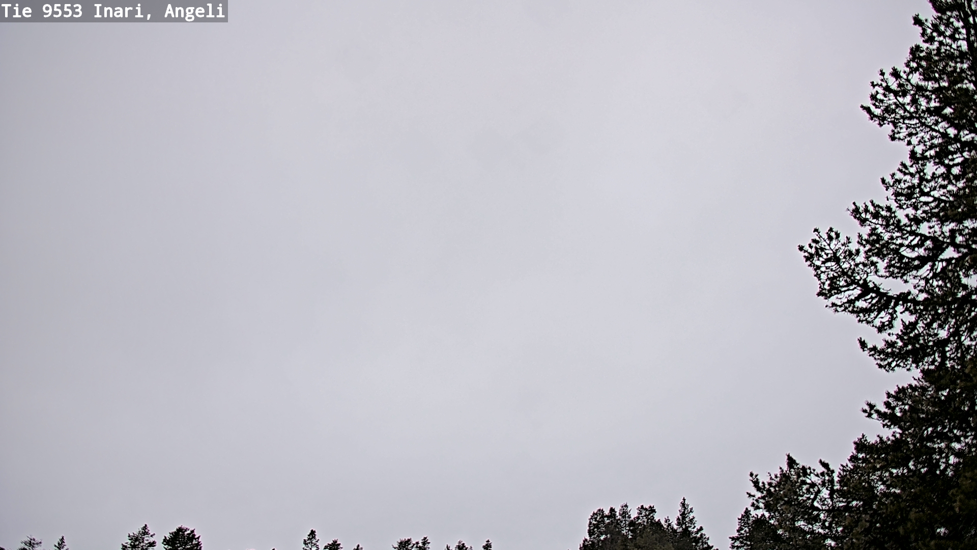 Kelikamerat Kuva Tie 9553 Inari, Angeli, Lintupuolivaara, Inari, Lappi