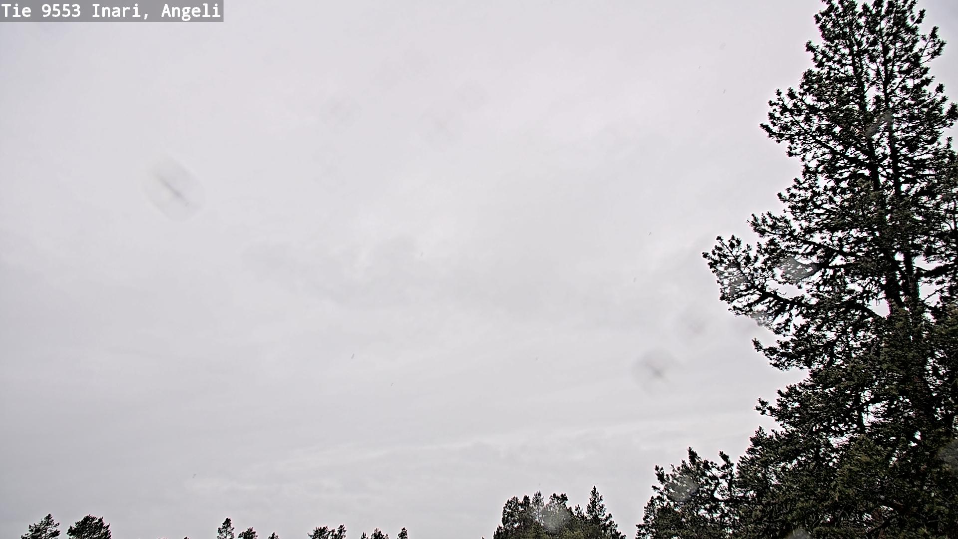 Weather Camera Image Väg 9553 Inari, Angeli, Lintupuolivaara, Inari, Lappi