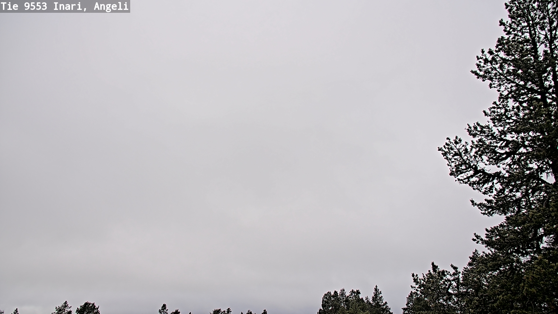 Weather Camera Image Road 9553 Inari, Angeli, Lintupuolivaara, Inari, Lappi