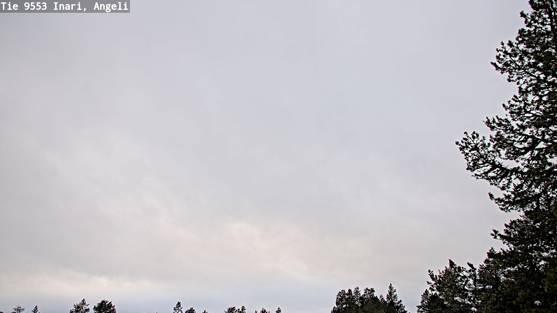 Weather Camera Image Väg 9553 Inari, Angeli, Lintupuolivaara, Inari, Lappi