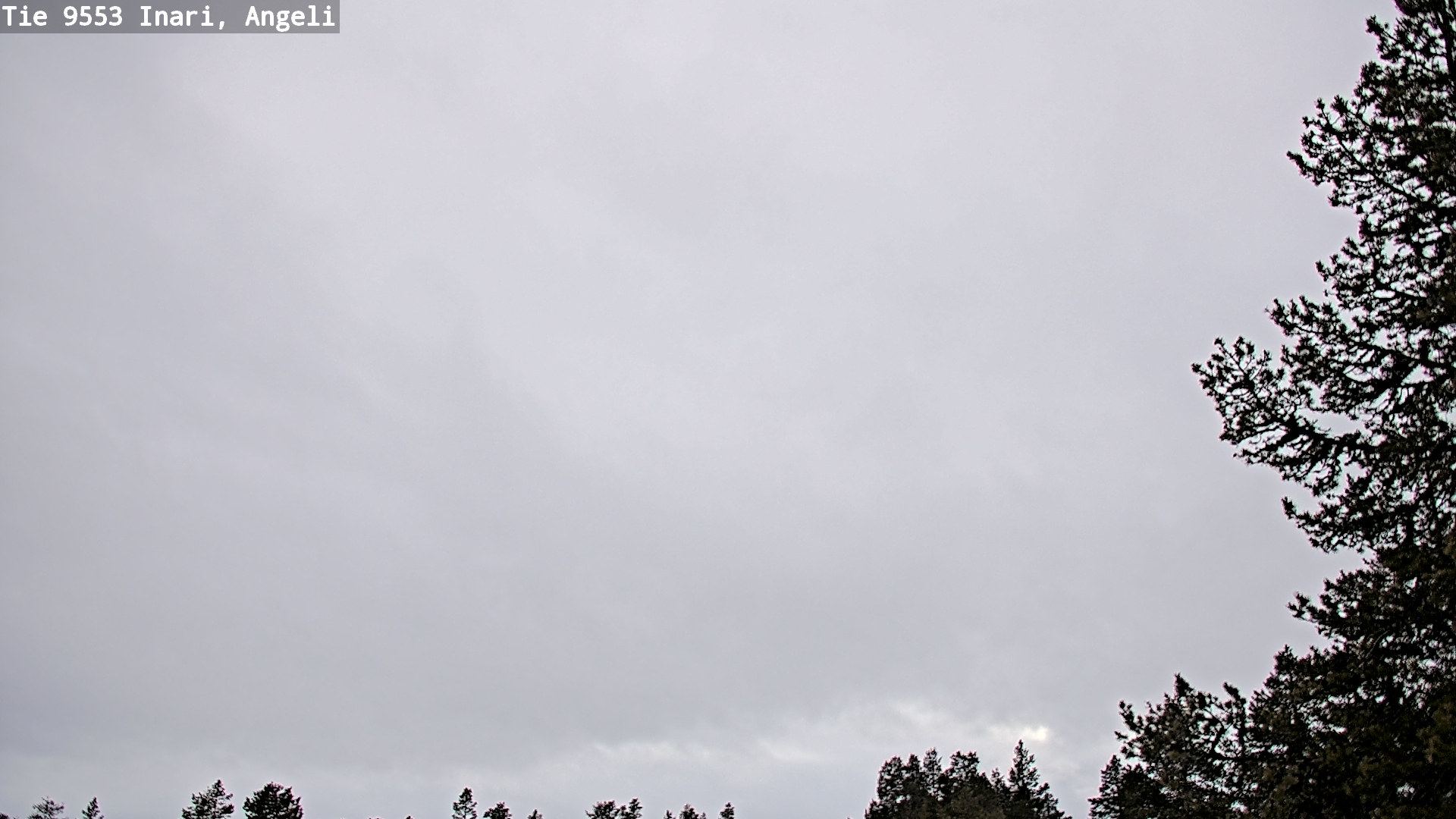 Weather Camera Image Väg 9553 Inari, Angeli, Lintupuolivaara, Inari, Lappi