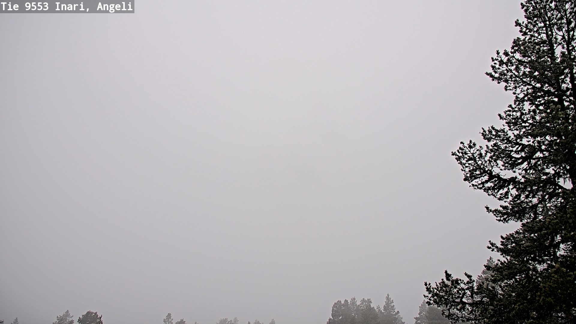 Weather Camera Image Road 9553 Inari, Angeli, Lintupuolivaara, Inari, Lappi