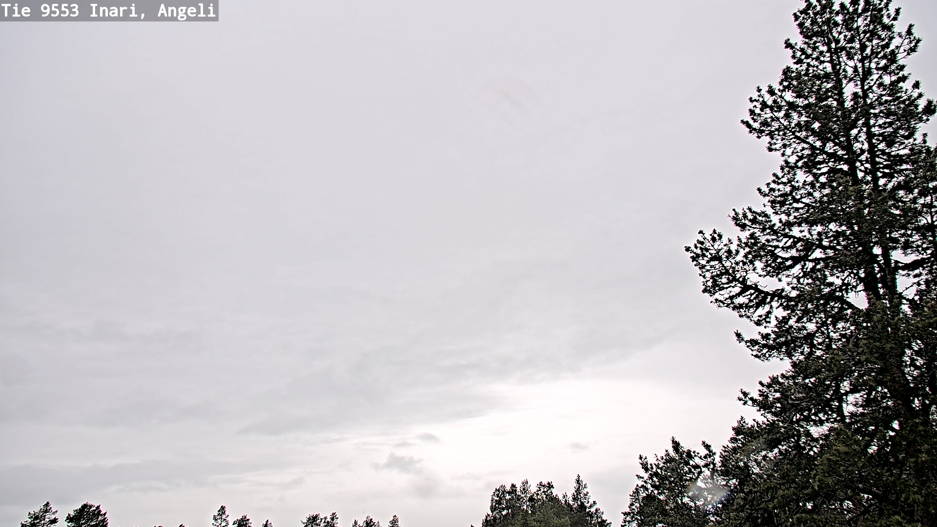 Weather Camera Image Väg 9553 Inari, Angeli, Lintupuolivaara, Inari, Lappi