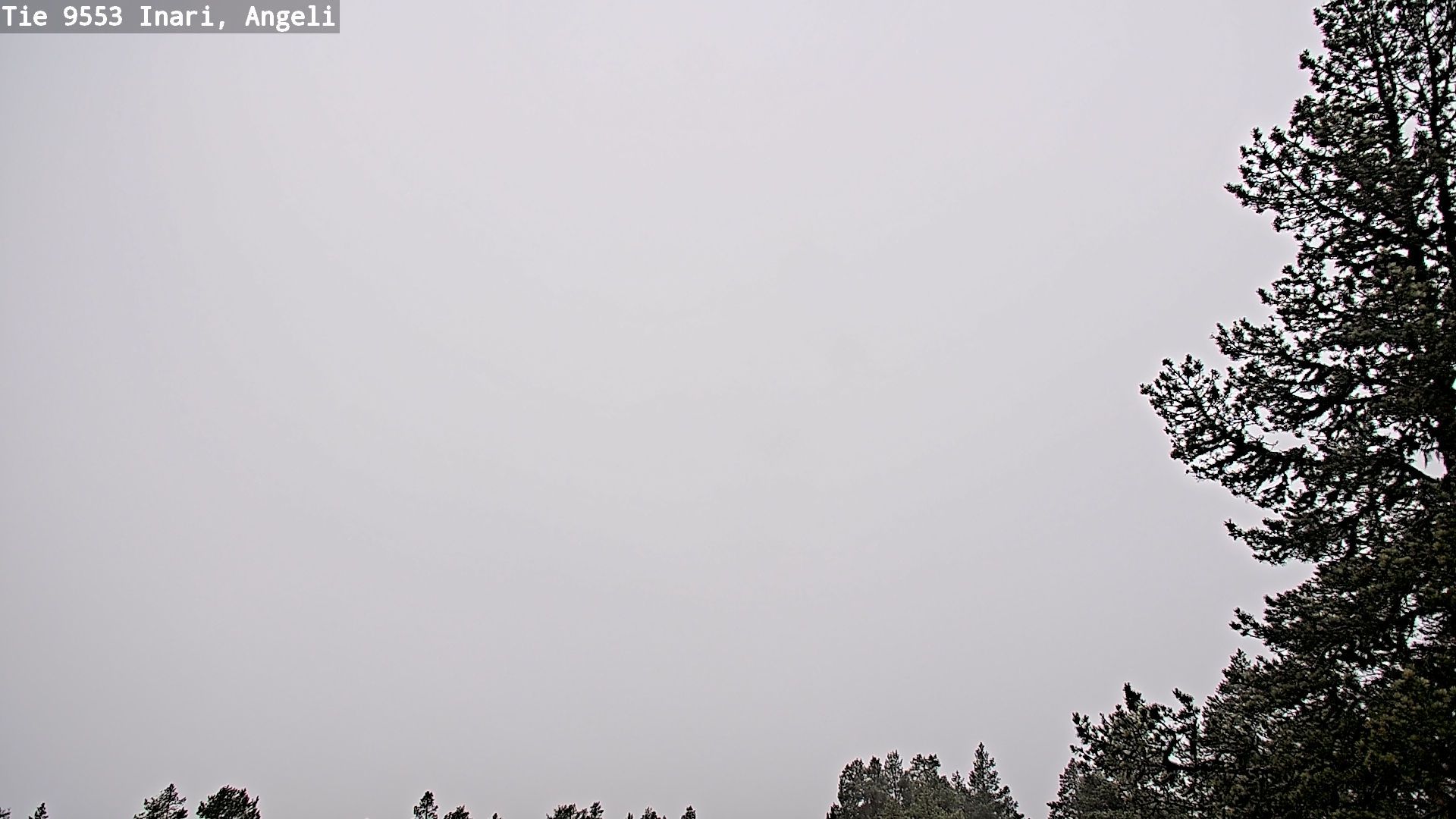 Weather Camera Image Road 9553 Inari, Angeli, Lintupuolivaara, Inari, Lappi