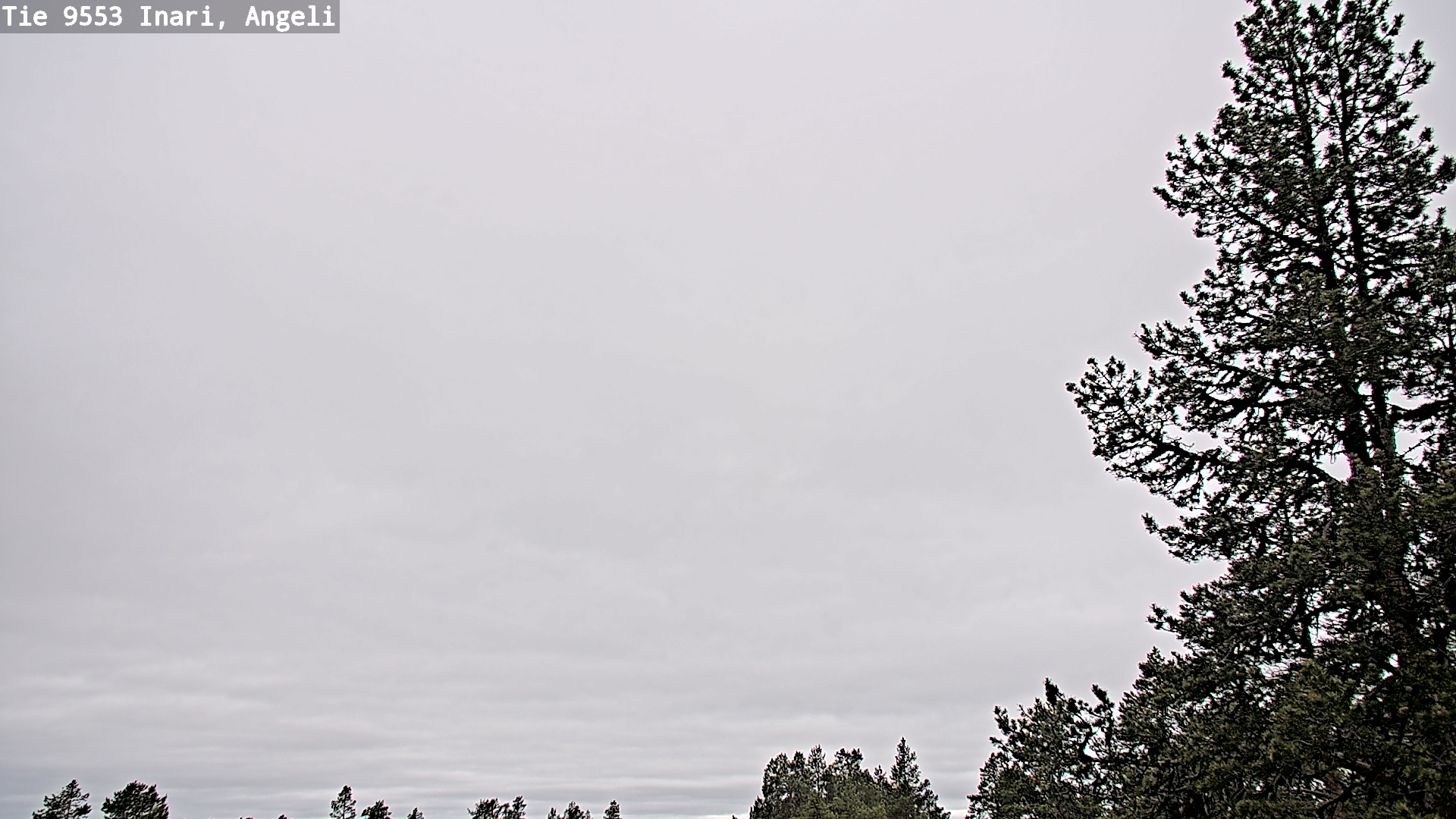 Weather Camera Image Väg 9553 Inari, Angeli, Lintupuolivaara, Inari, Lappi