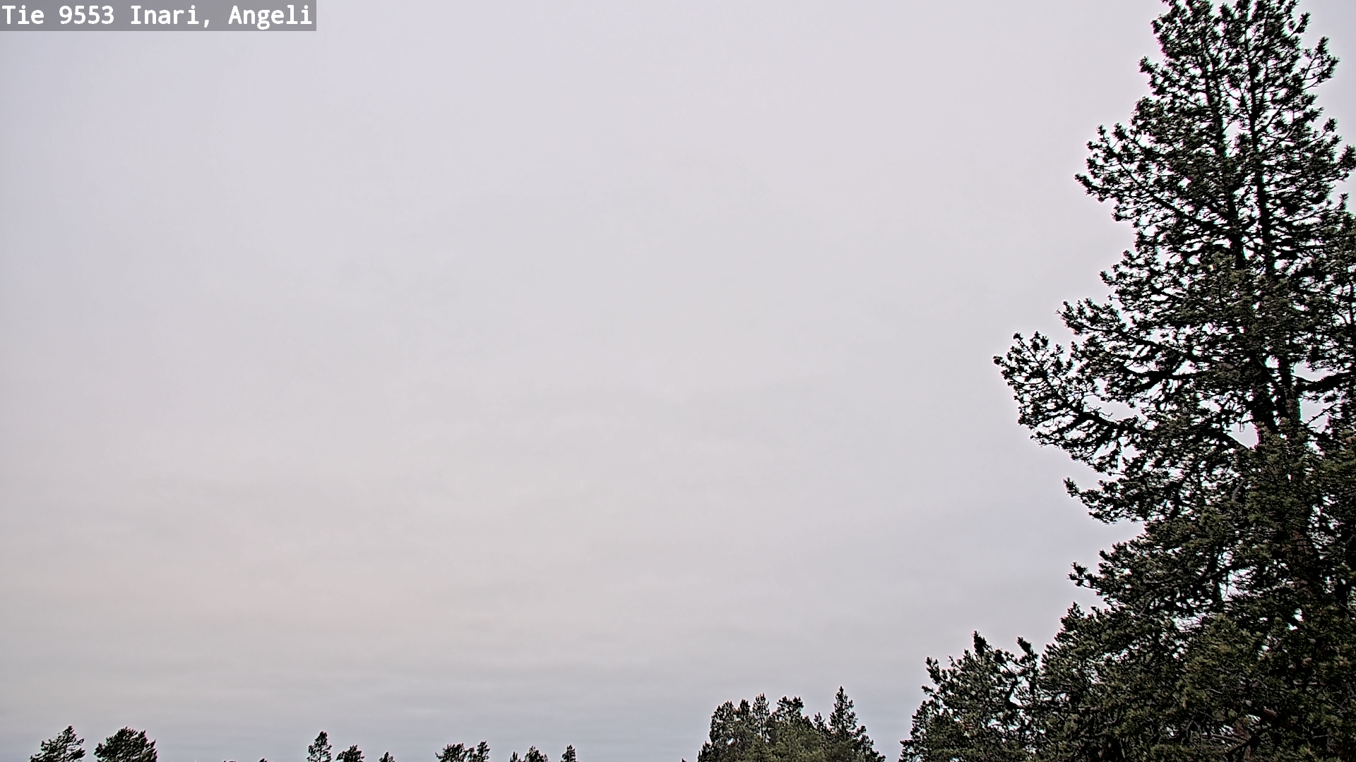 Kelikamerat Kuva Tie 9553 Inari, Angeli, Lintupuolivaara, Inari, Lappi