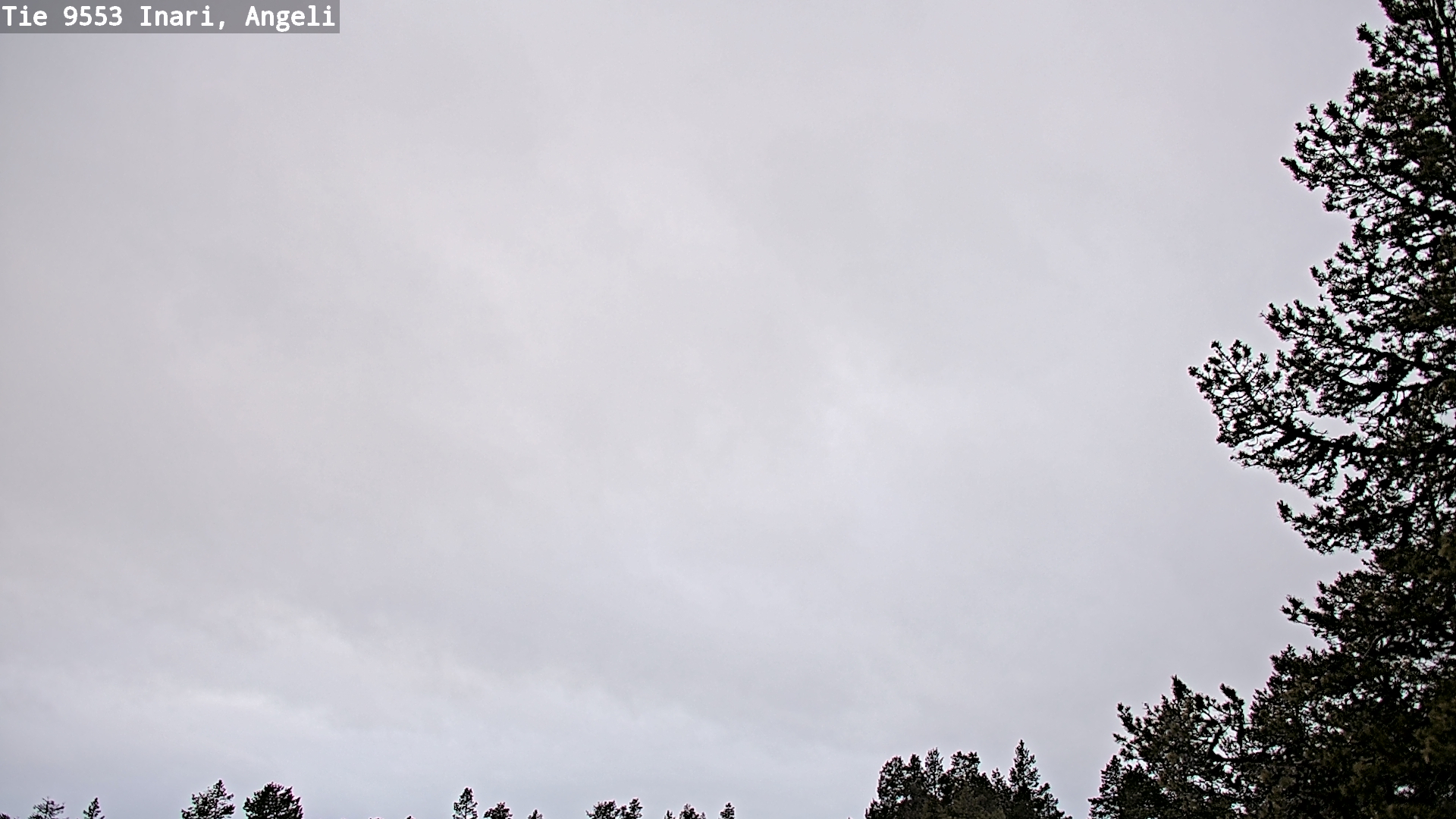 Weather Camera Image Road 9553 Inari, Angeli, Lintupuolivaara, Inari, Lappi