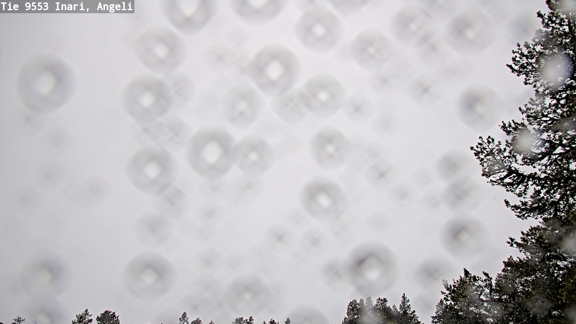 Kelikamerat Kuva Tie 9553 Inari, Angeli, Lintupuolivaara, Inari, Lappi