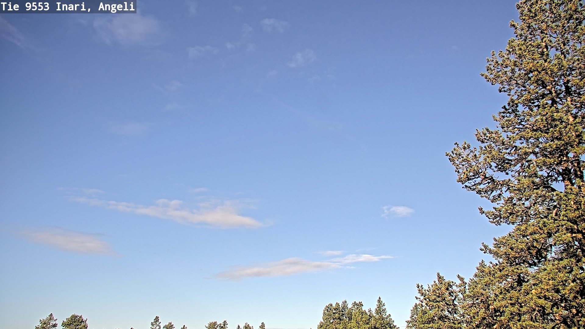 Weather Camera Image Road 9553 Inari, Angeli, Lintupuolivaara, Inari, Lappi