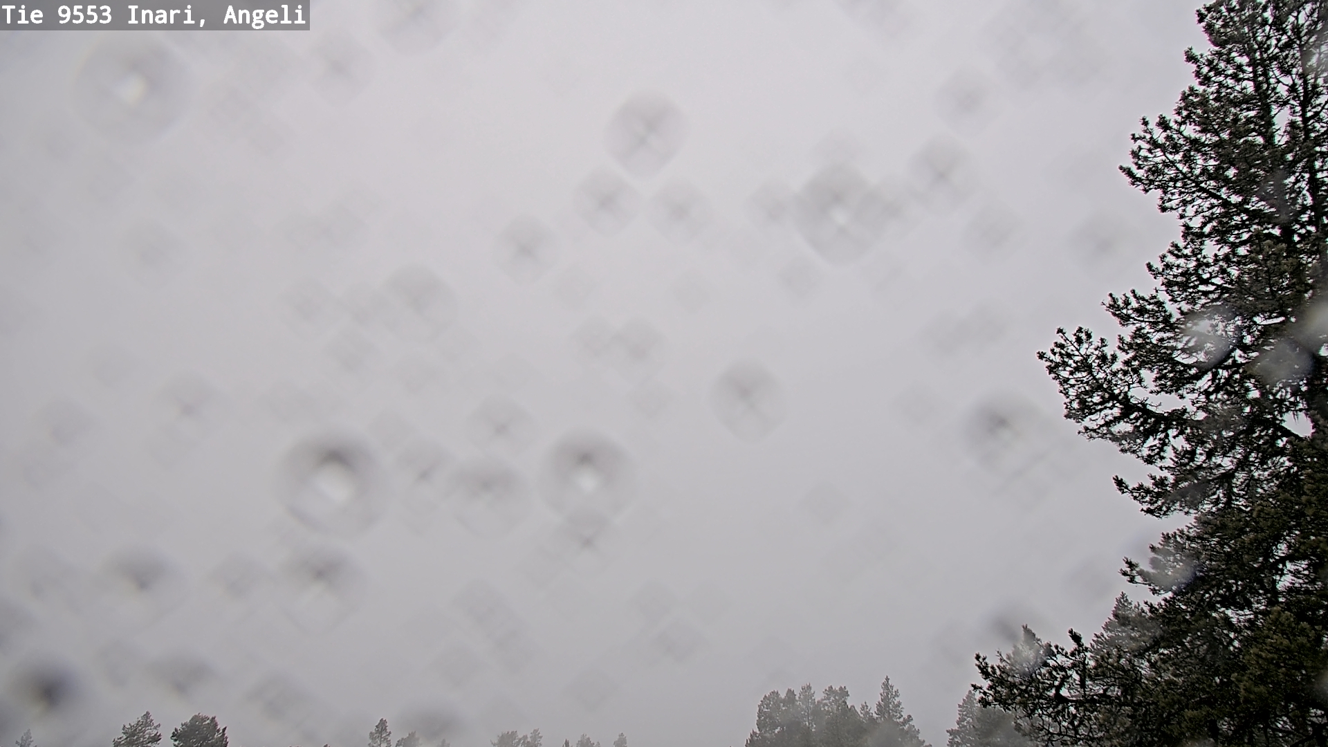 Kelikamerat Kuva Tie 9553 Inari, Angeli, Lintupuolivaara, Inari, Lappi