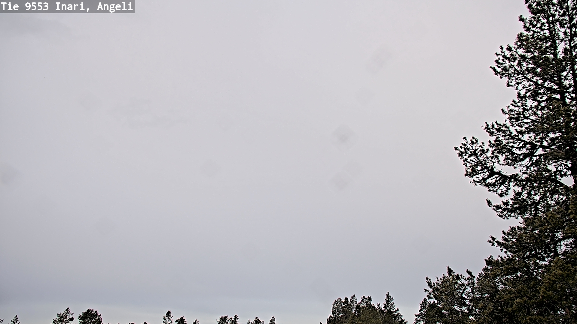 Weather Camera Image Road 9553 Inari, Angeli, Lintupuolivaara, Inari, Lappi