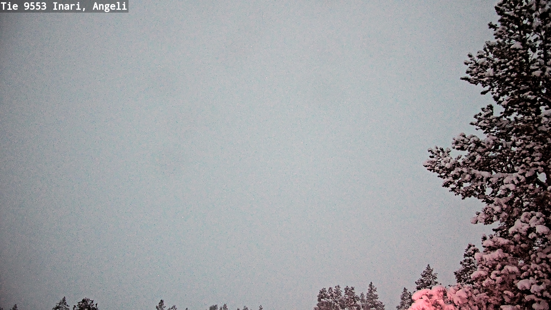 Weather Camera Image Road 9553 Inari, Angeli, Lintupuolivaara, Inari, Lappi