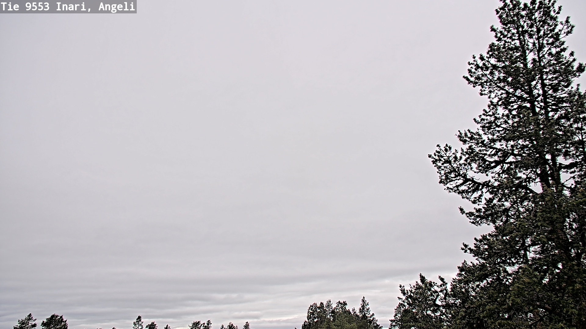 Weather Camera Image Väg 9553 Inari, Angeli, Lintupuolivaara, Inari, Lappi