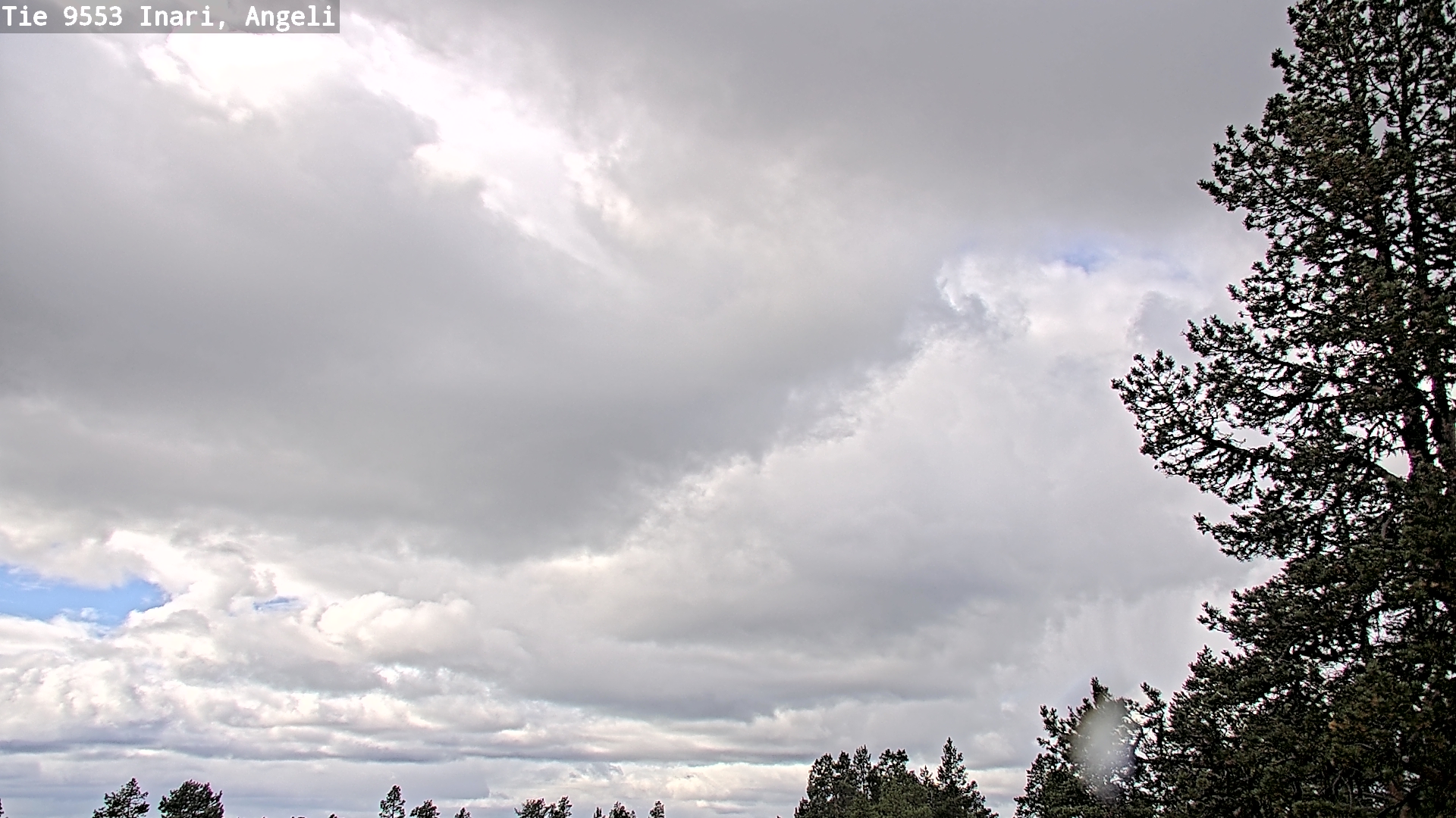 Weather Camera Image Road 9553 Inari, Angeli, Lintupuolivaara, Inari, Lappi