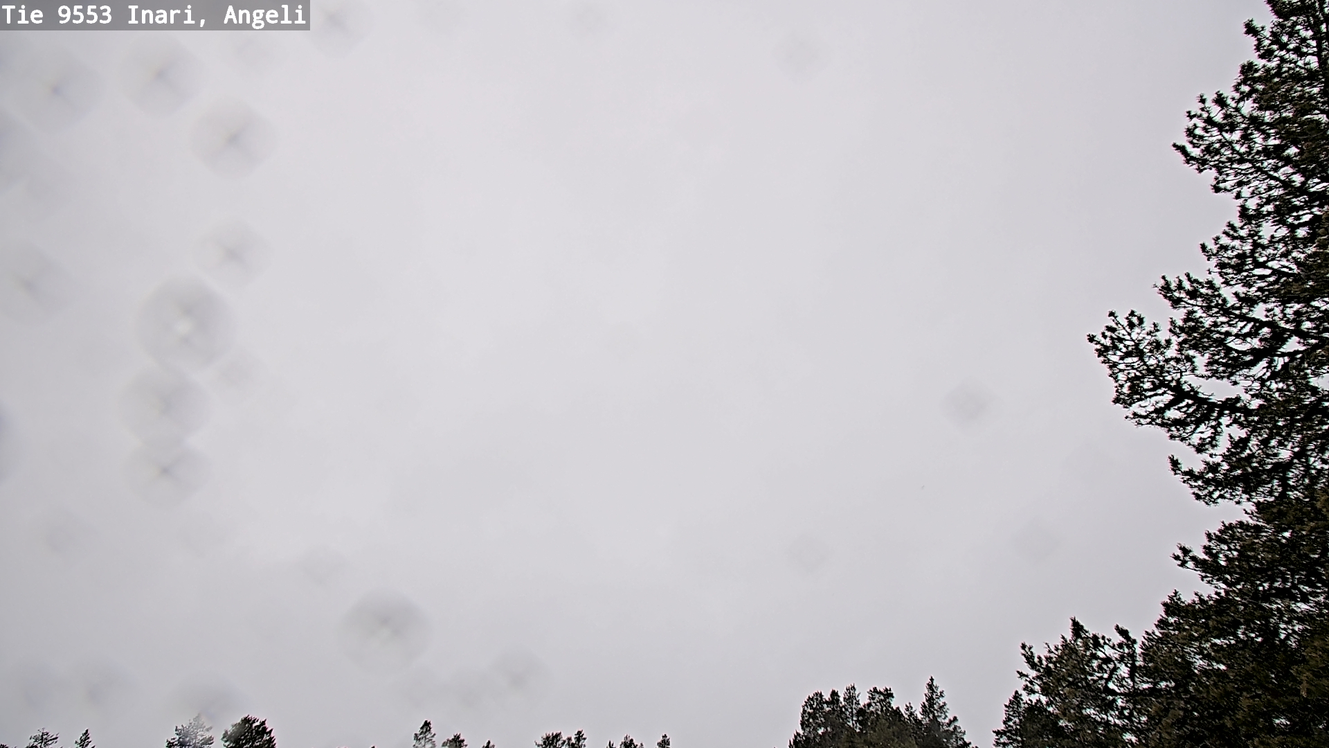 Kelikamerat Kuva Tie 9553 Inari, Angeli, Lintupuolivaara, Inari, Lappi